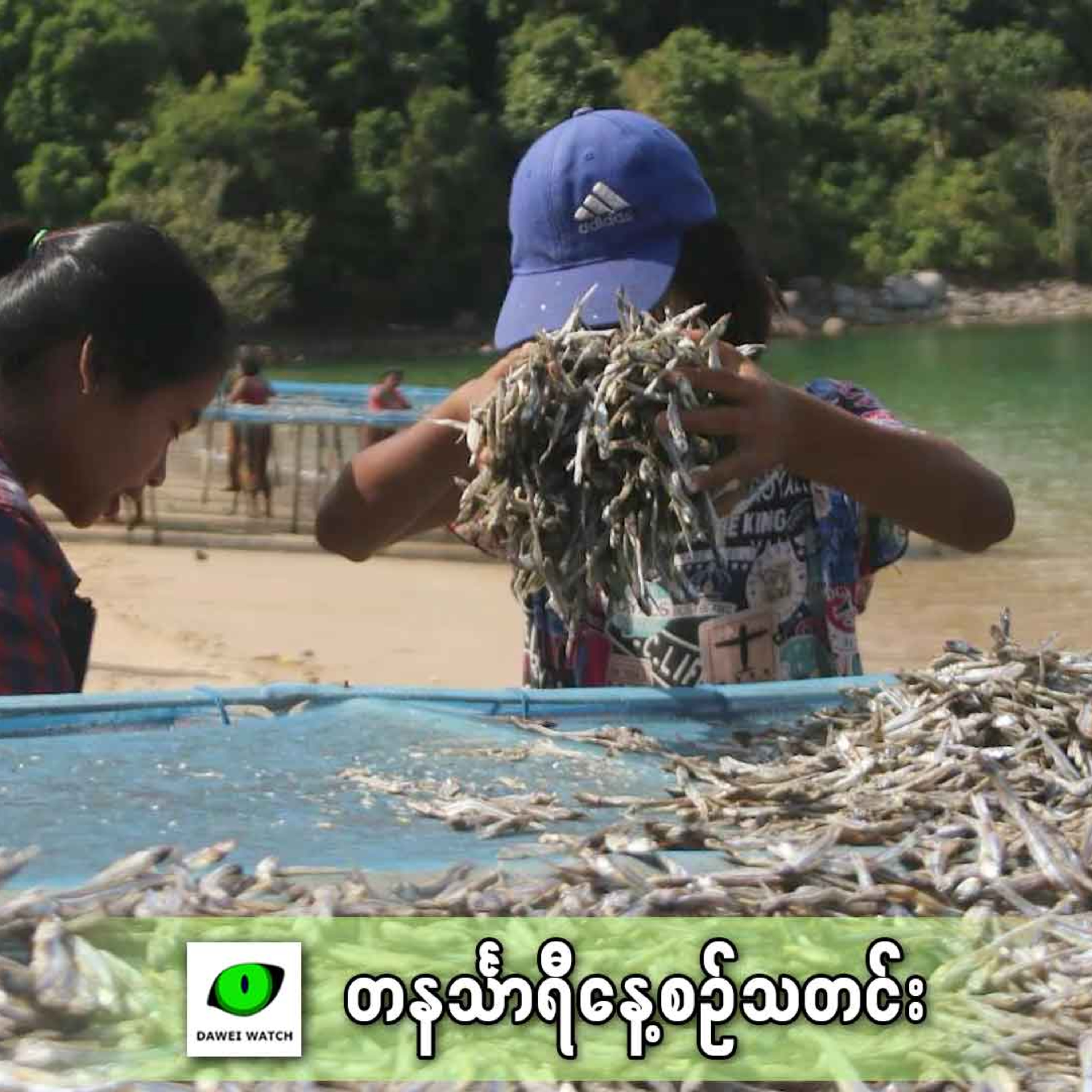 ဖေဖော်ဝါရီလ ၆ရက် တနင်္သာရီနေ့စဉ်သတင်း အစီအစဉ် episode artwork