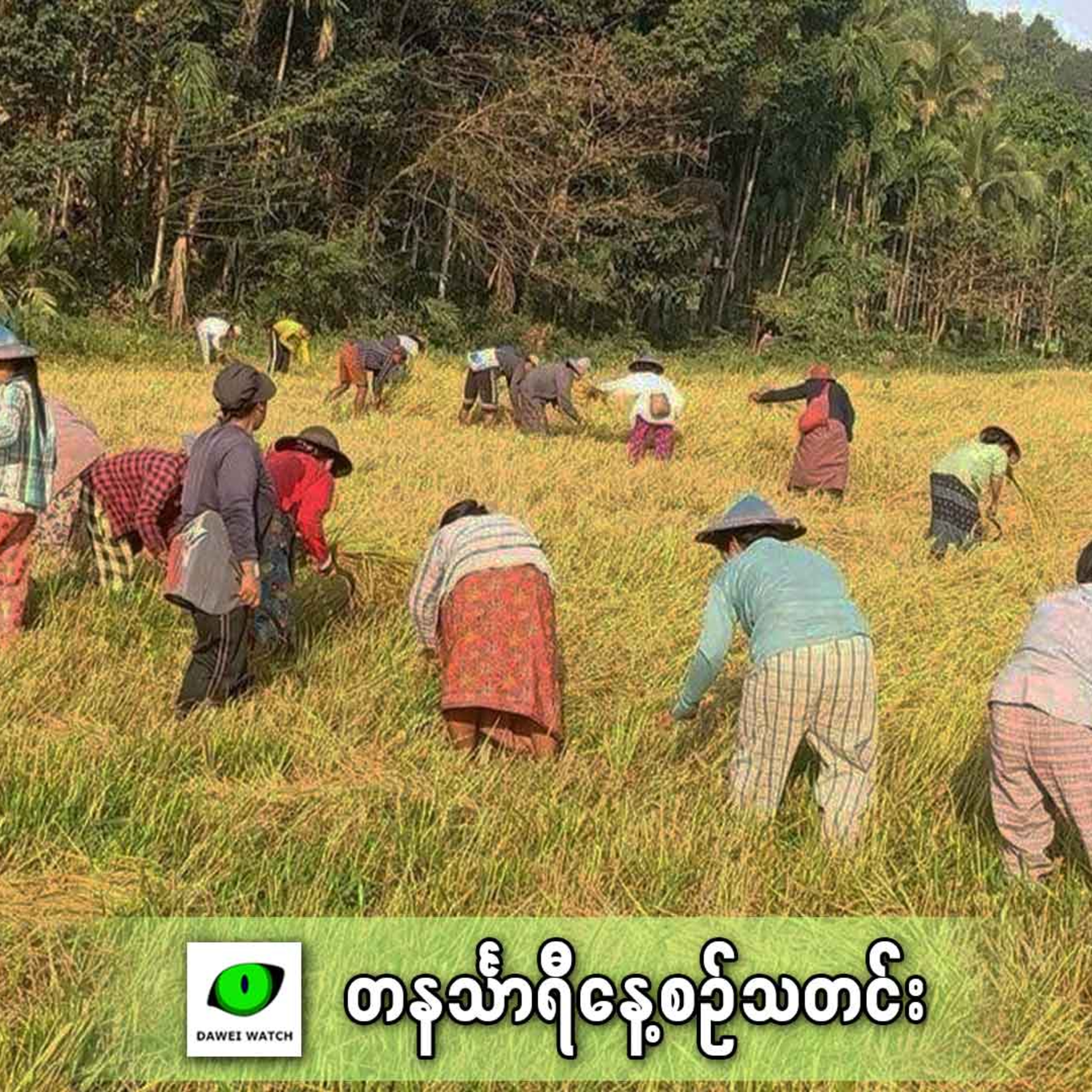 မတ်လ ၁၄ရက် တနင်္သာရီနေ့စဉ်သတင်း အစီအစဉ် episode artwork