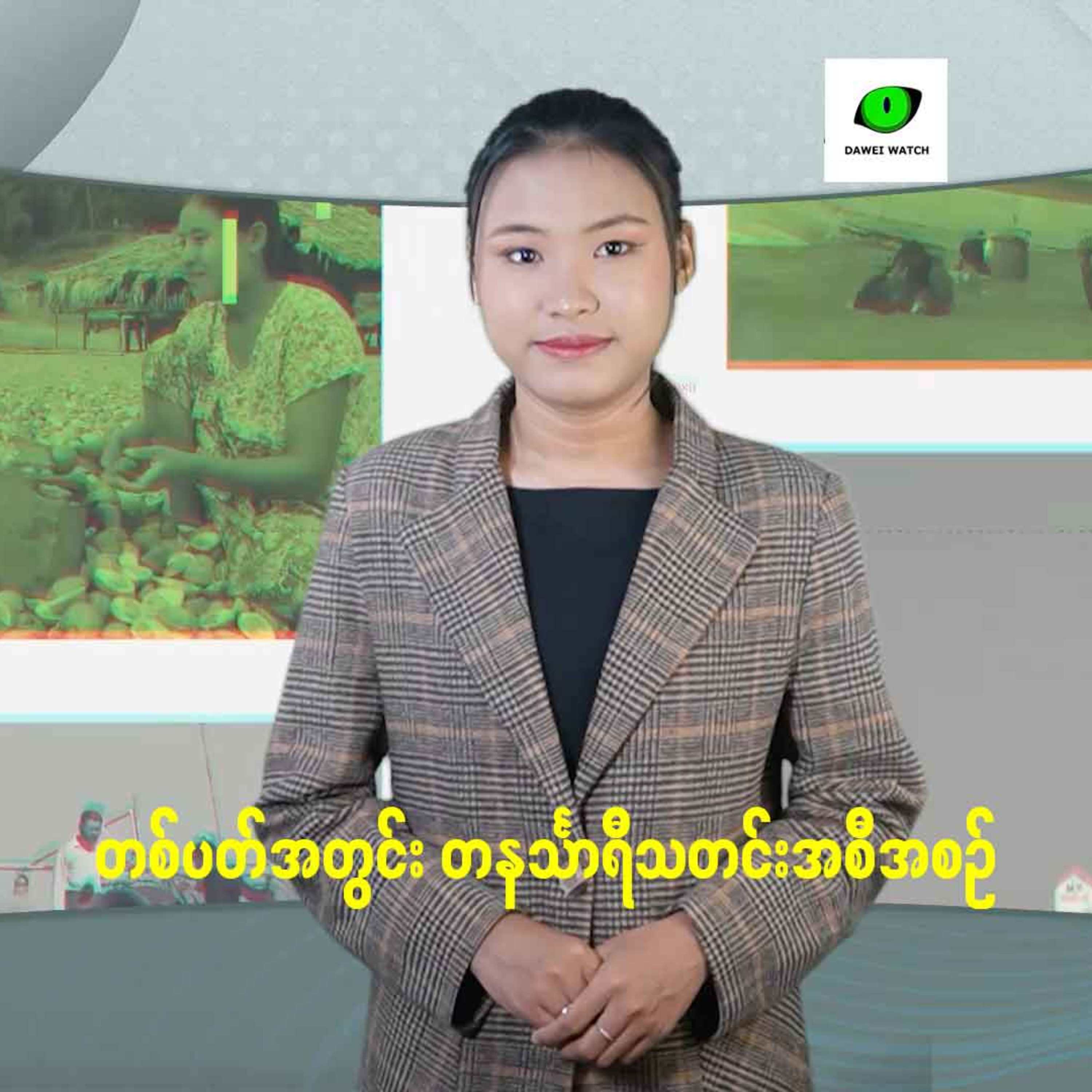 Dawei Watch Podcast
