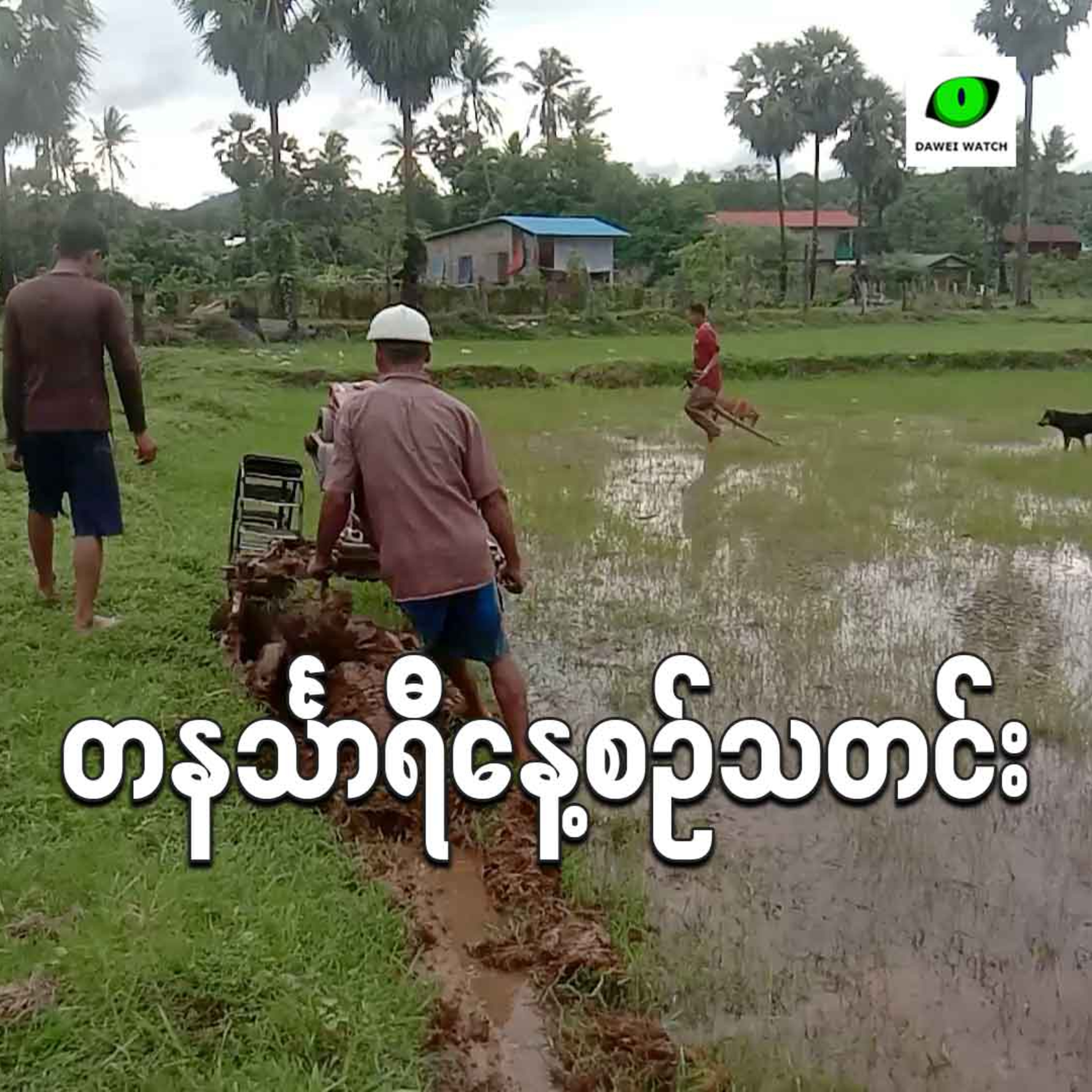 ဇူလိုင်လ ၂၁ရက် တနင်္သာရီနေ့စဉ်သတင်း အစီအစဉ် episode artwork