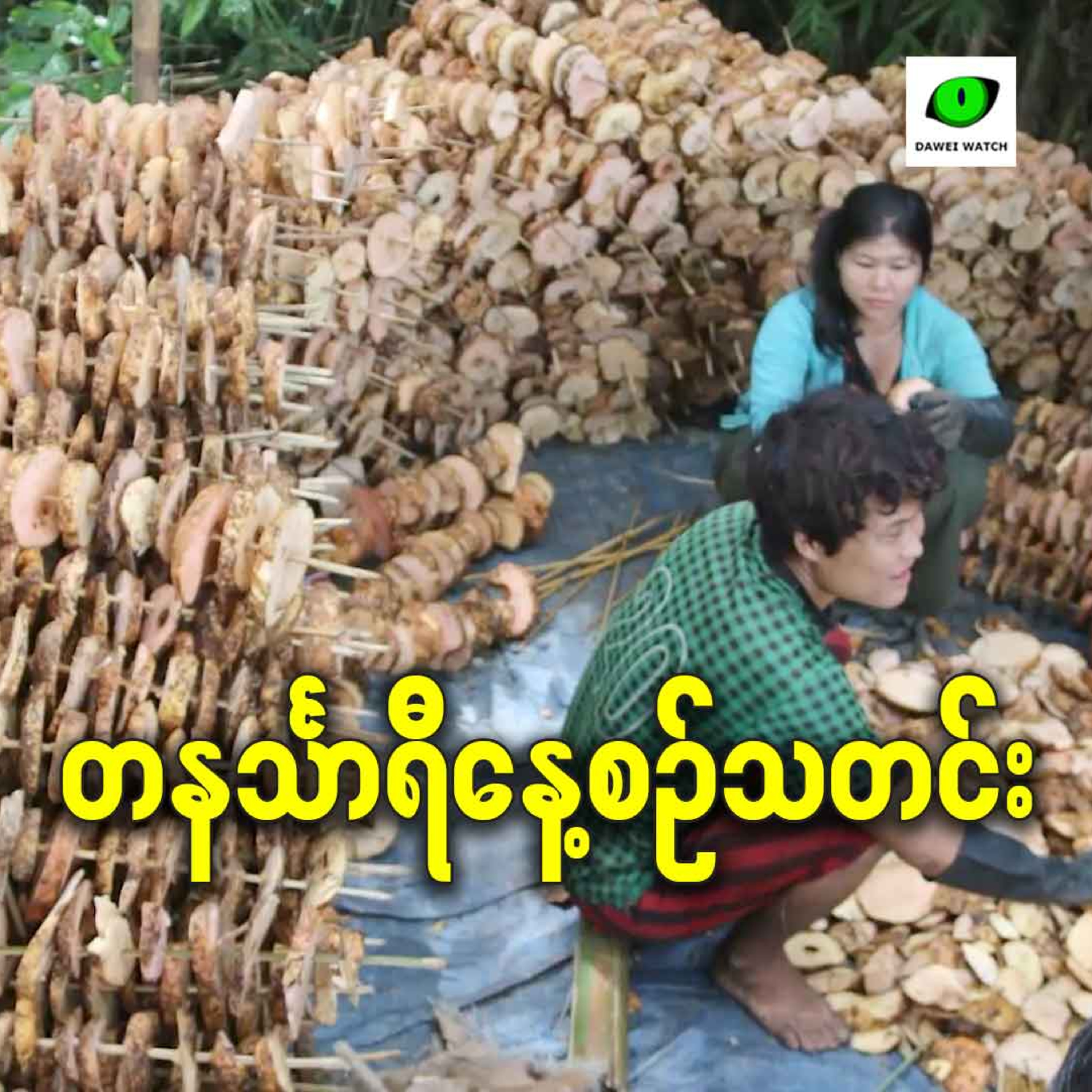 အောက်တိုဘာလ ၂၉ရက် တနင်္သာရီနေ့စဉ်သတင်း အစီအစဉ် episode artwork