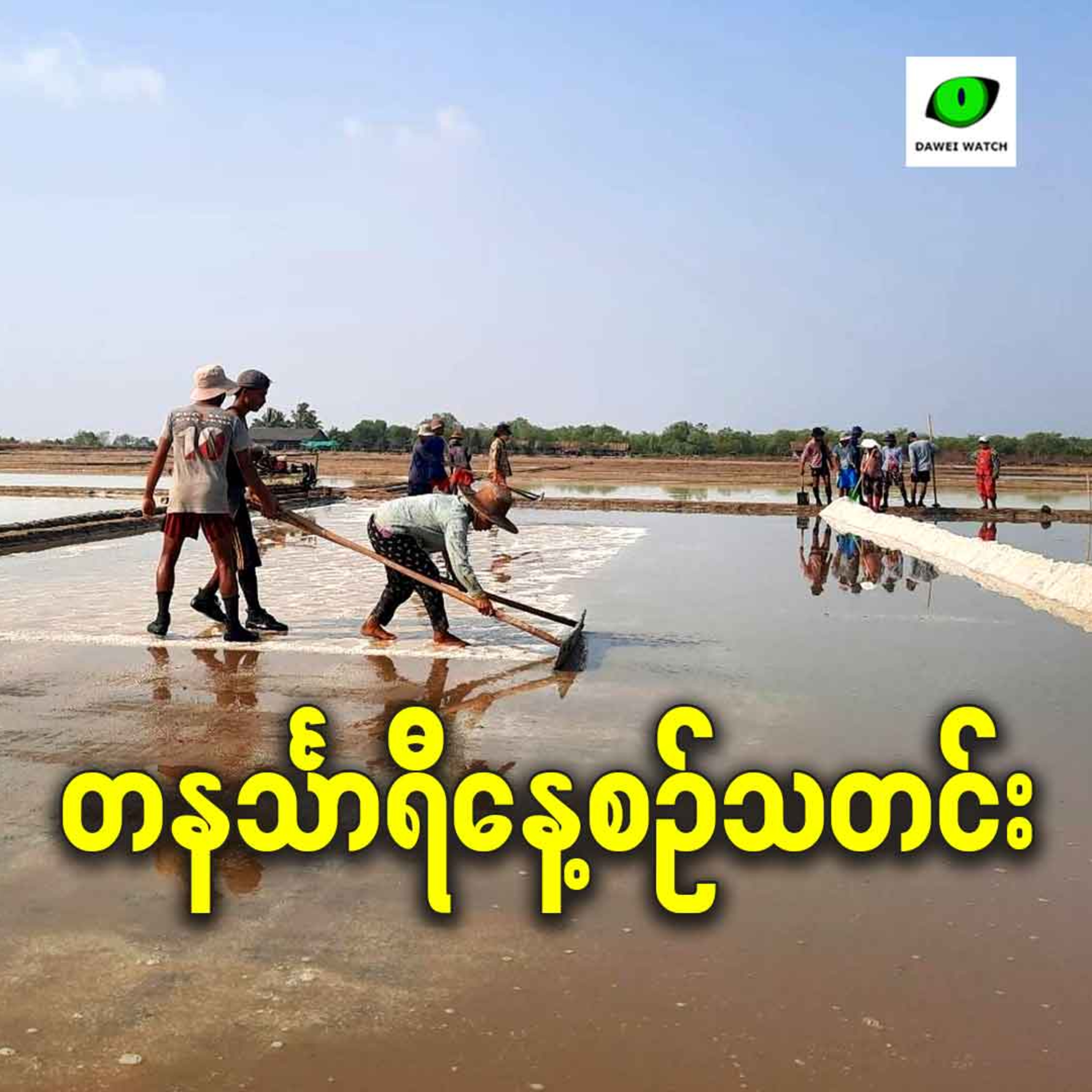 နိုဝင်ဘာလ ၅ ရက် တနင်္သာရီနေ့စဉ်သတင်း အစီအစဉ် episode artwork