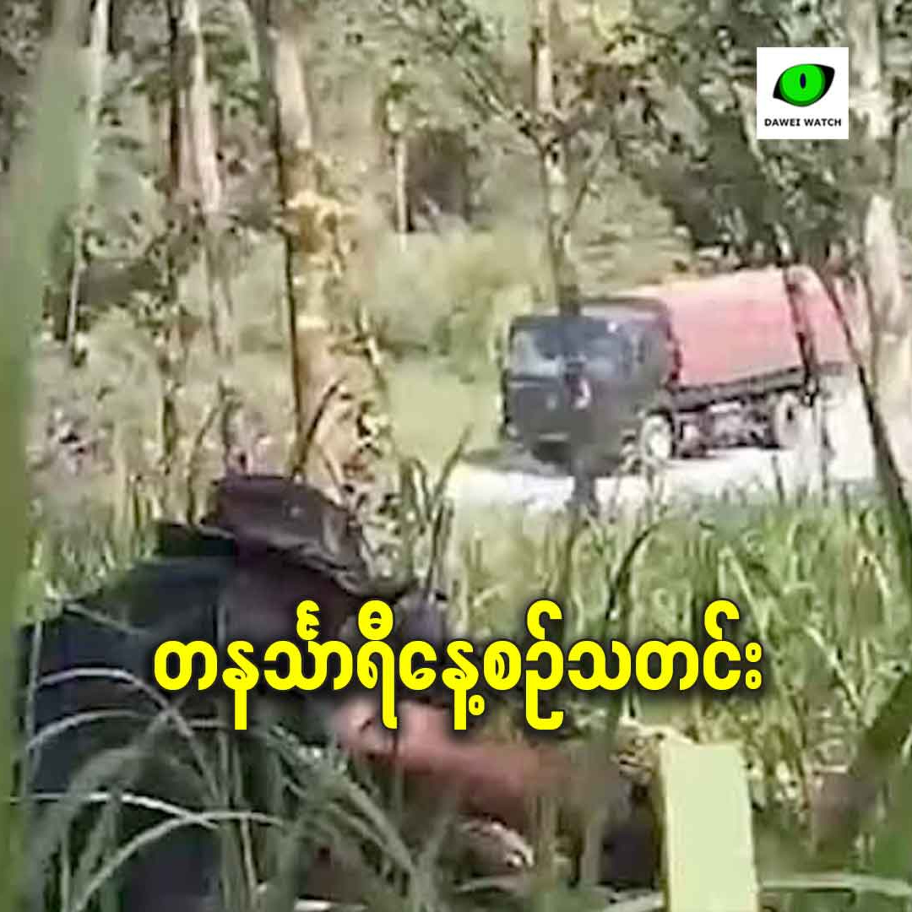 ဒီဇင်ဘာလ ၁၁ရက် တနင်္သာရီနေ့စဉ်သတင်း အစီအစဉ် episode artwork