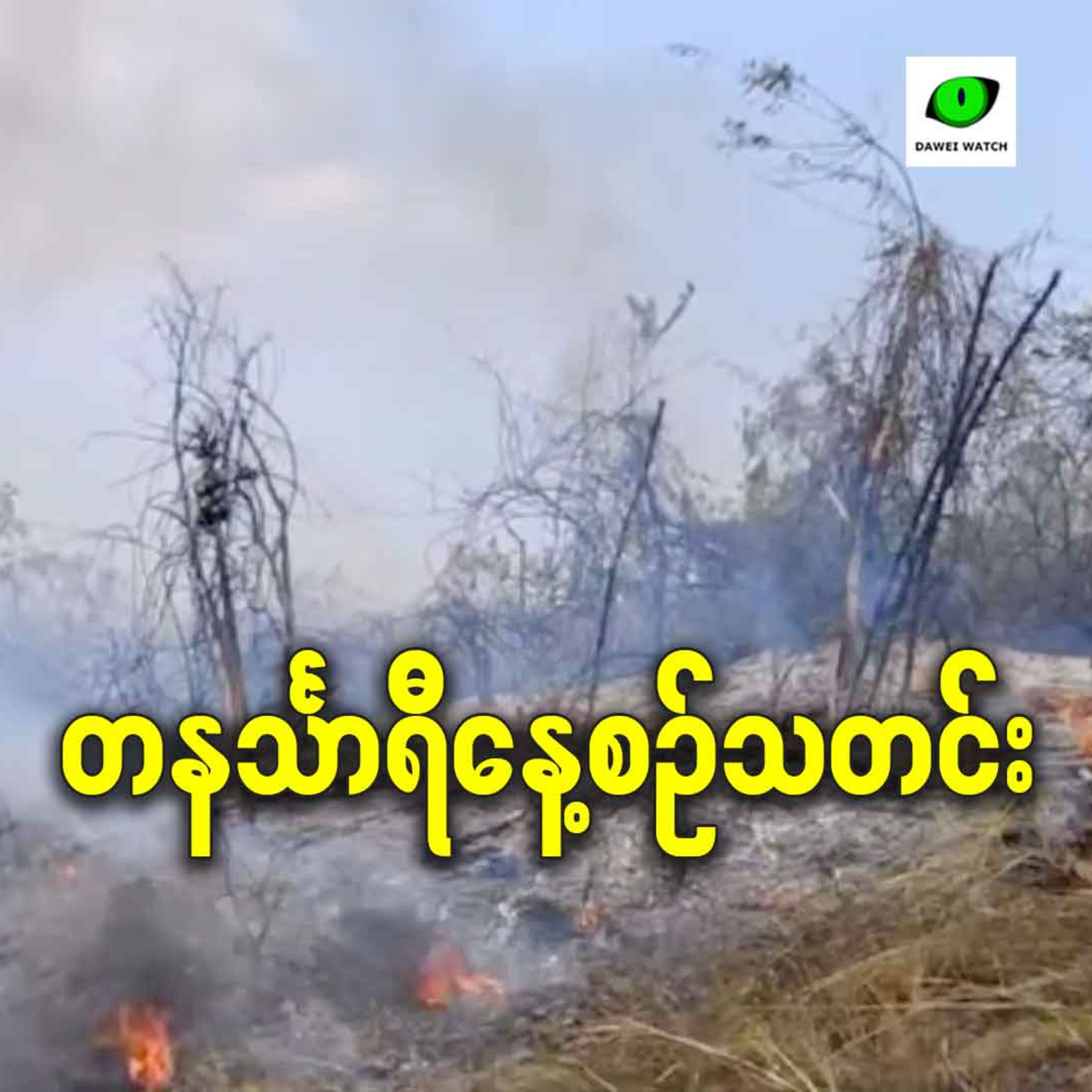 ဇန်နဝါရီလ ၂၀ရက် တနင်္သာရီနေ့စဉ်သတင်း အစီအစဉ် episode artwork
