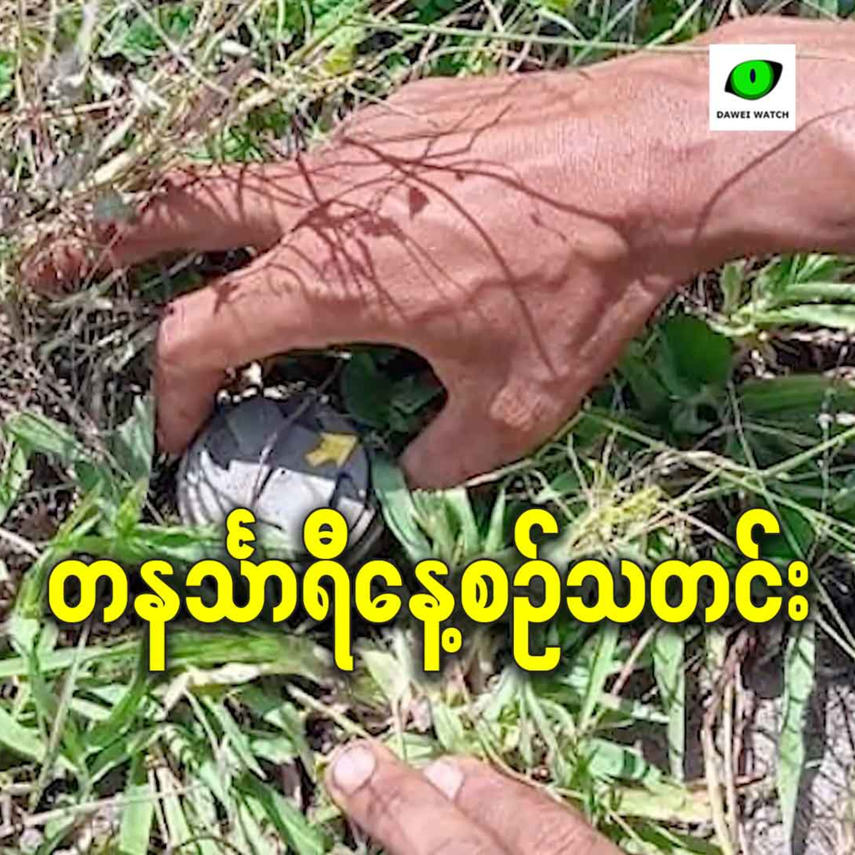ဖေဖော်ဝါရီလ ၅ရက် တနင်္သာရီနေ့စဉ်သတင်း အစီအစဉ် episode artwork