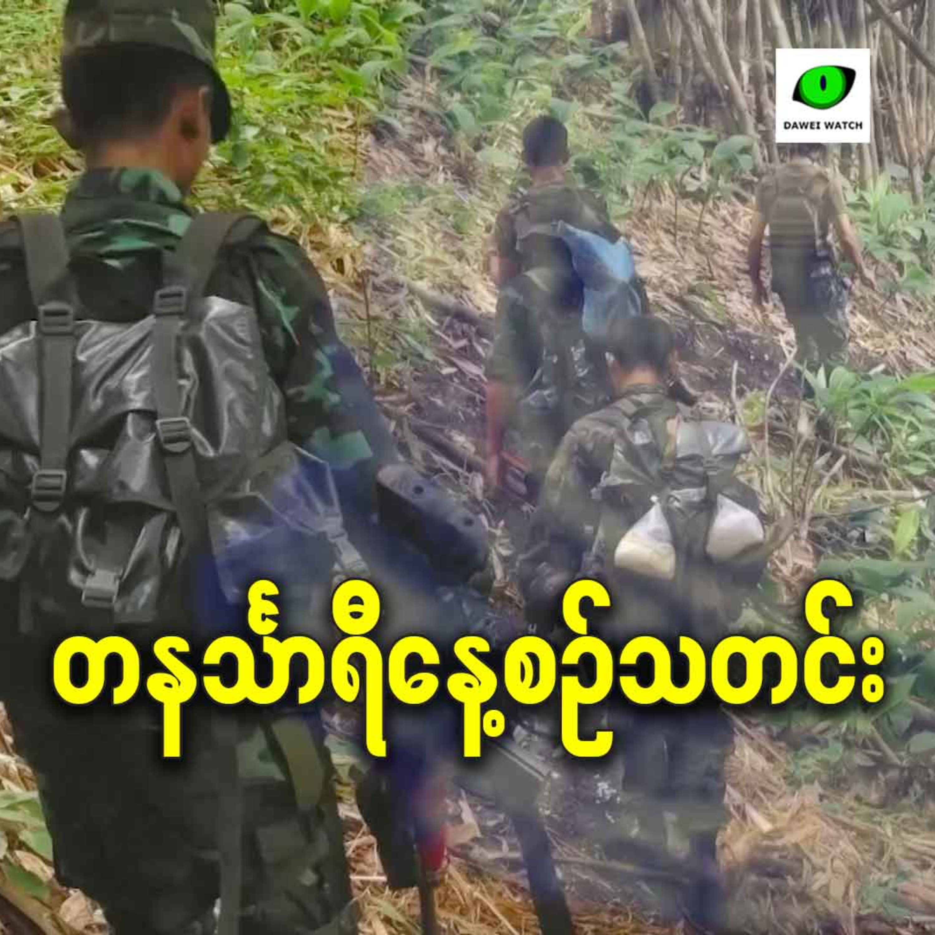 ဖေဖော်ဝါရီလ ၁၁ရက် တနင်္သာရီနေ့စဉ်သတင်း အစီအစဉ် episode artwork