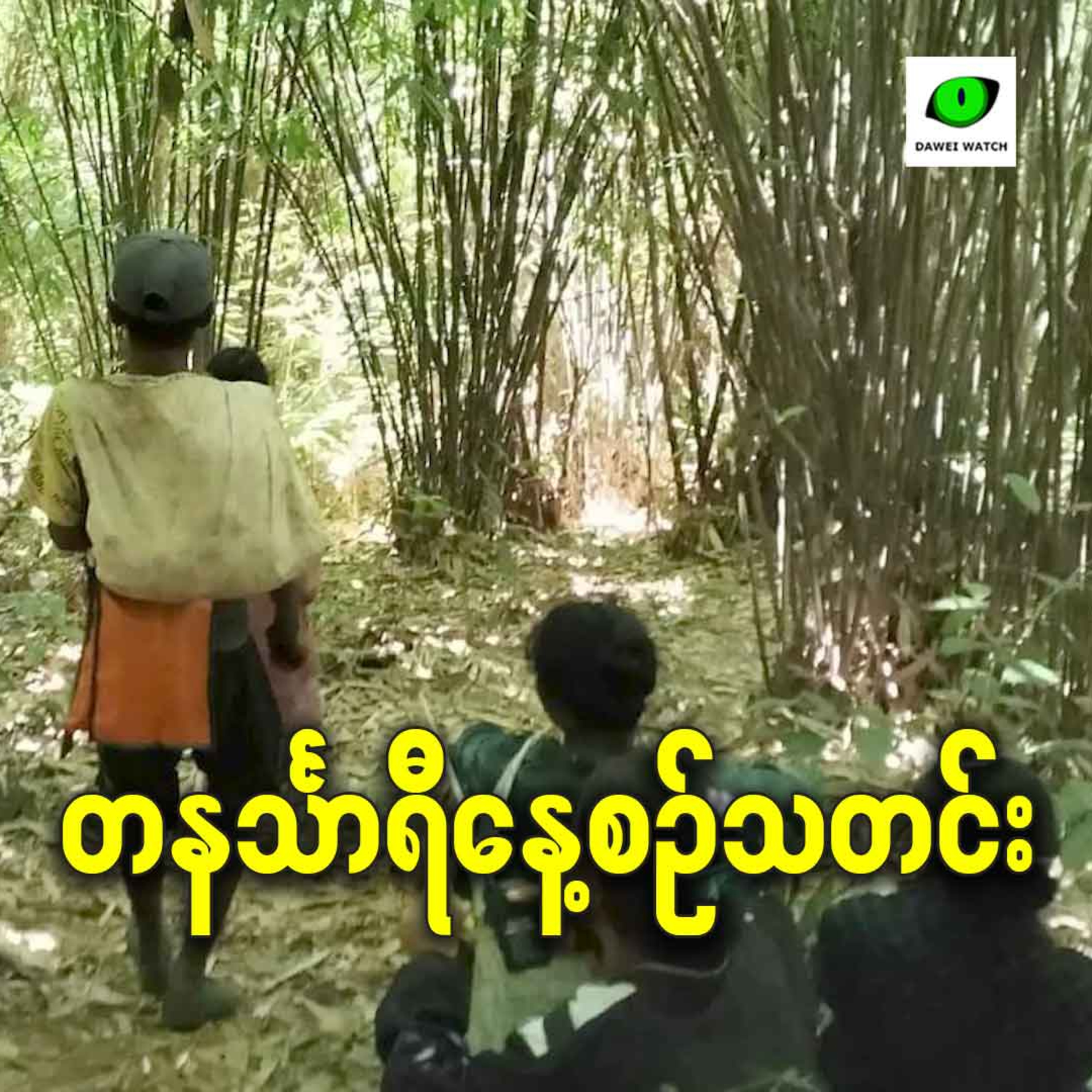 ဖေဖော်ဝါရီလ ၁၂ရက် တနင်္သာရီနေ့စဉ်သတင်း အစီအစဉ် episode artwork