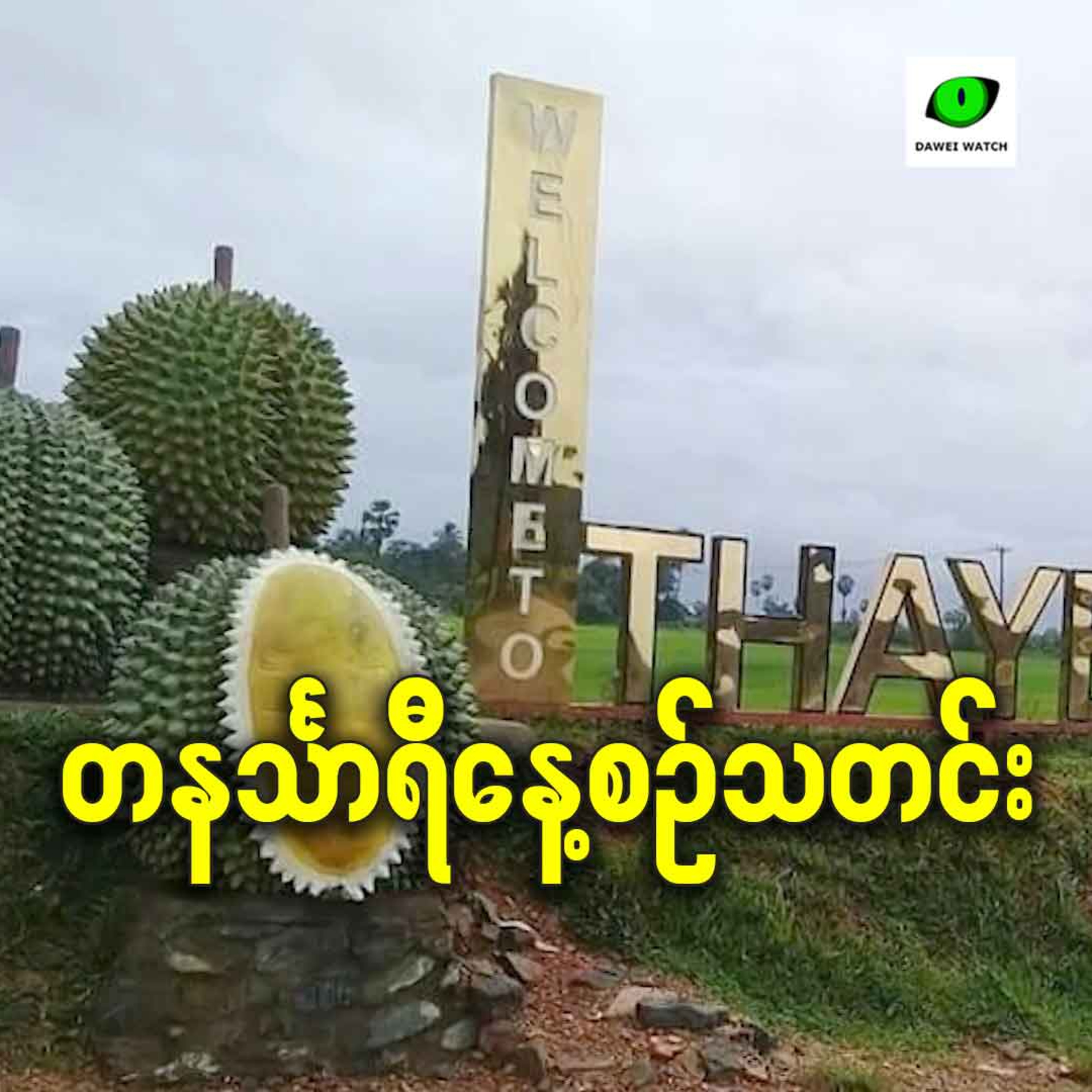 ဖေဖော်ဝါရီလ ၂၃ရက် တနင်္သာရီနေ့စဉ်သတင်း အစီအစဉ် episode artwork