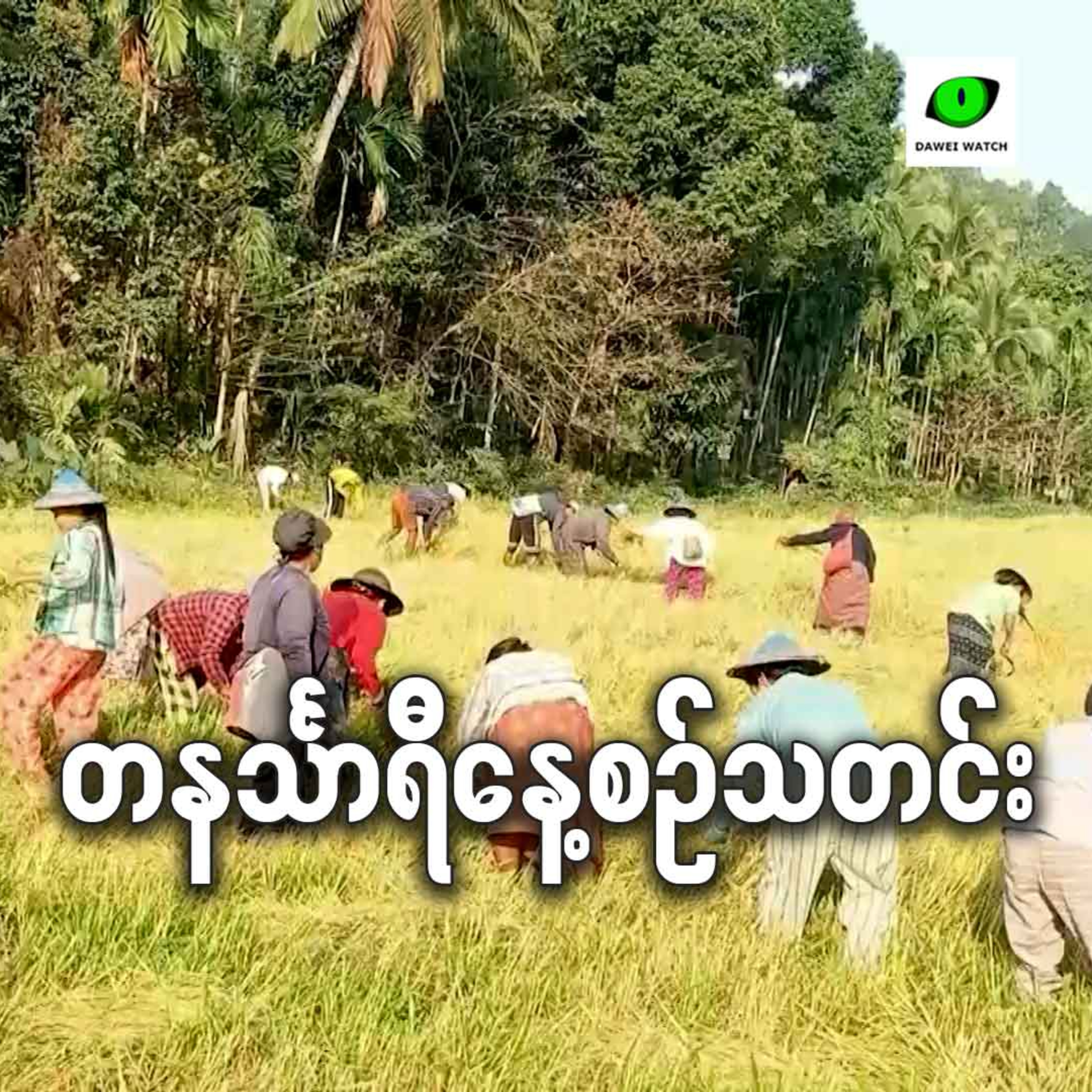 ဖေဖော်ဝါရီလ ၂၃ရက် တနင်္သာရီနေ့စဉ်သတင်း အစီအစဉ် episode artwork
