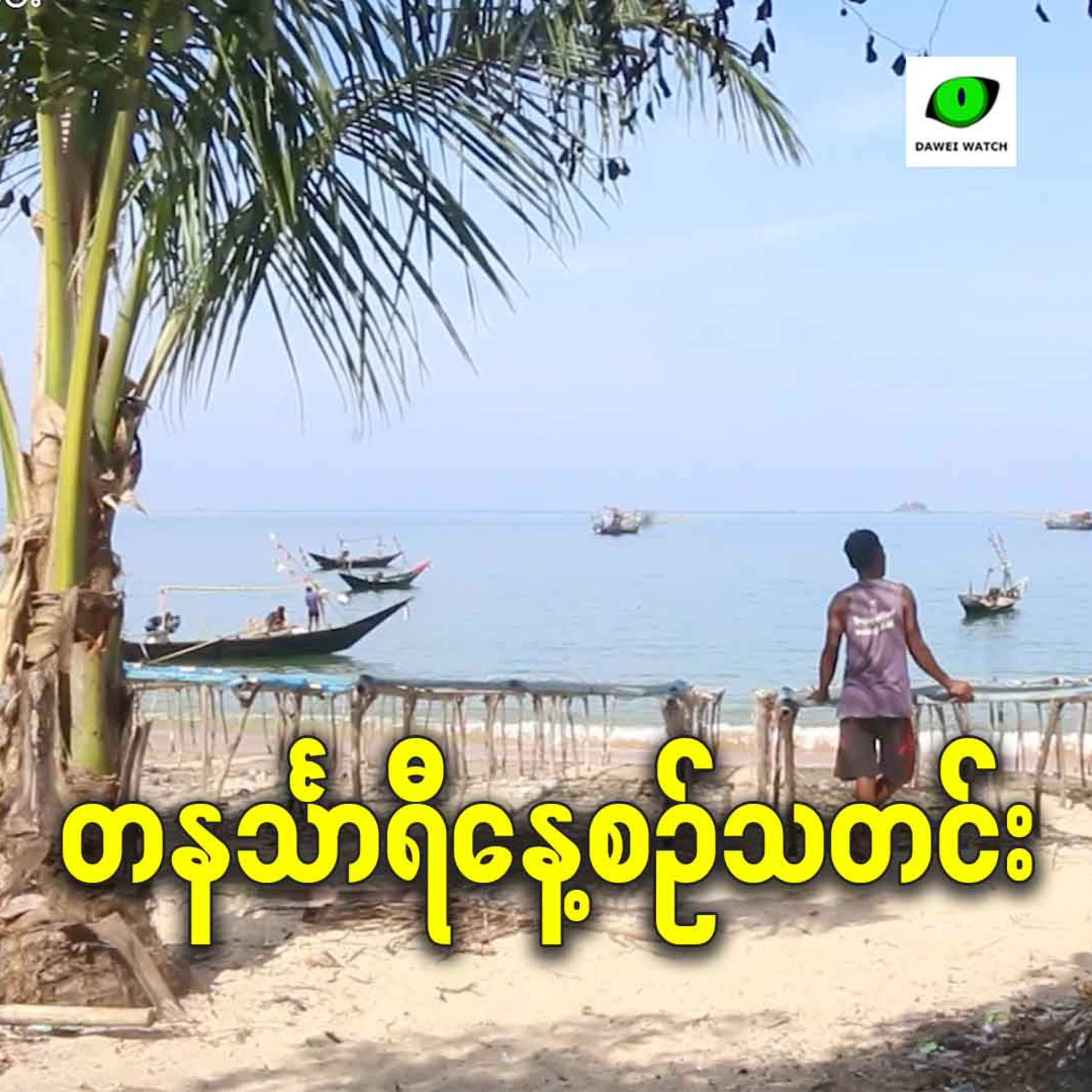 မတ်လ ၁၉ရက် တနင်္သာရီနေ့စဉ်သတင်း အစီအစဉ် episode artwork