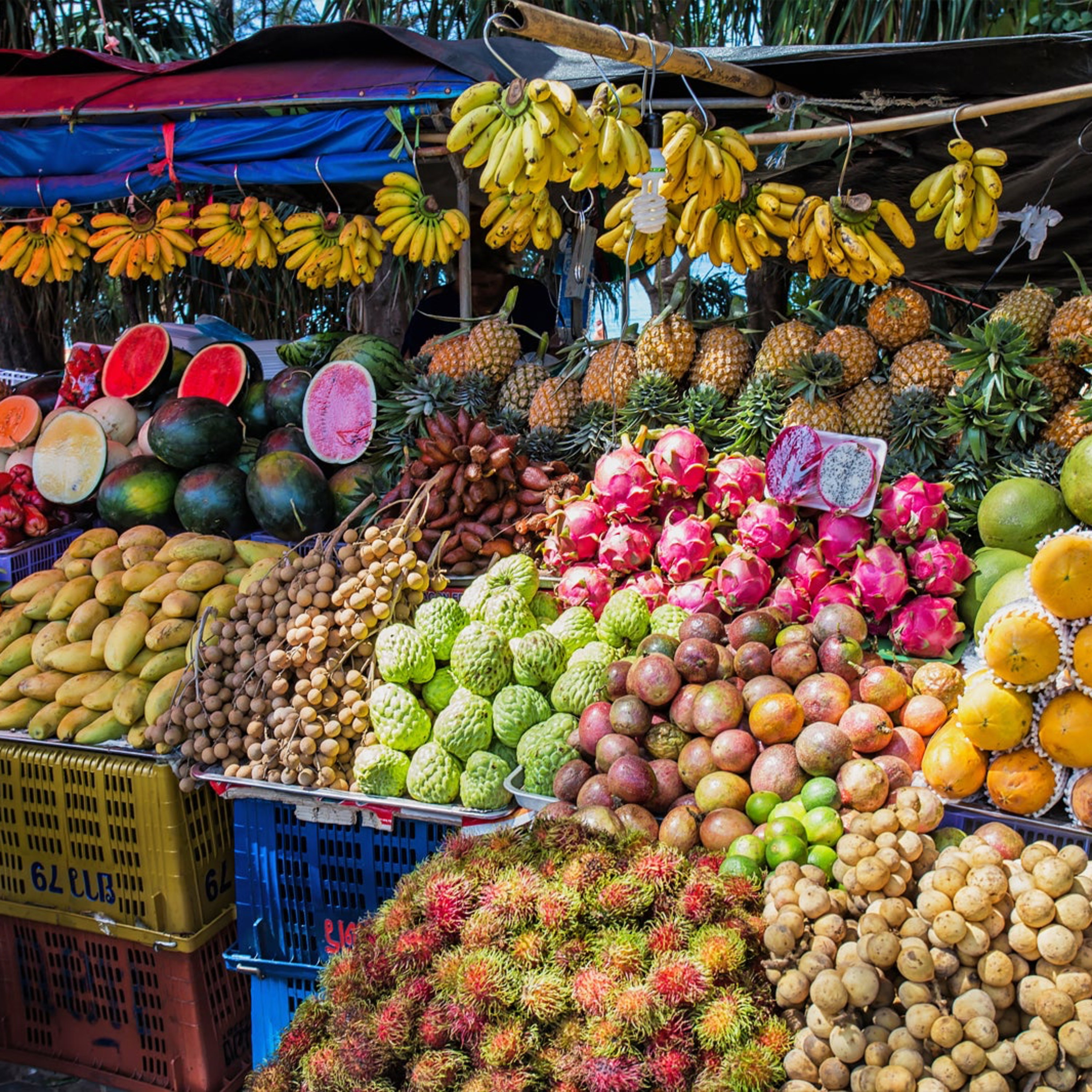 “The Fruit Market,” from John 15:1 - 16:4