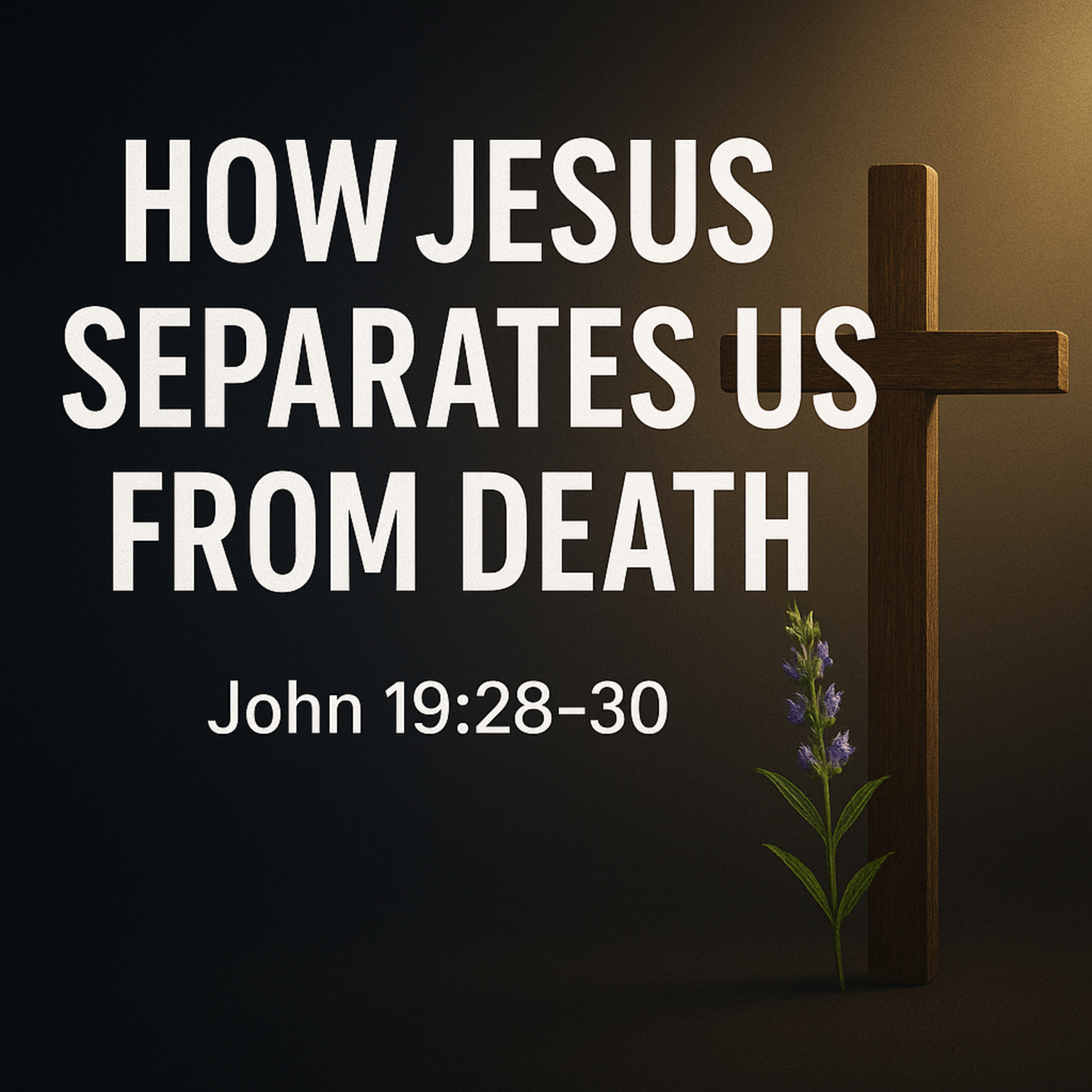 Separated From Death. How Jesus Makes the Spiritually Dead Clean Before God (John 19.28–30)