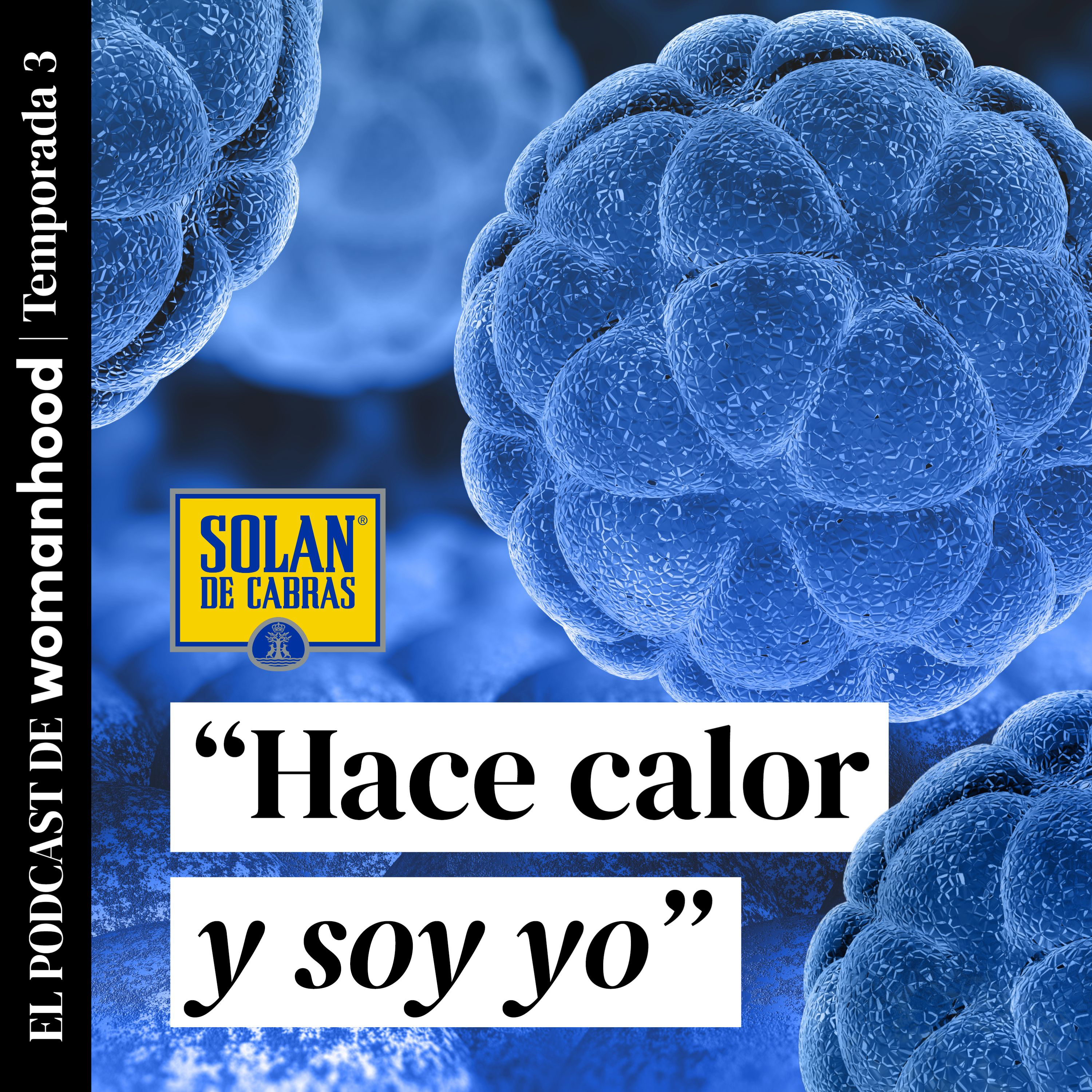La microbiota en la menopausia con la Dra. Silvia Gómez Senent episode artwork