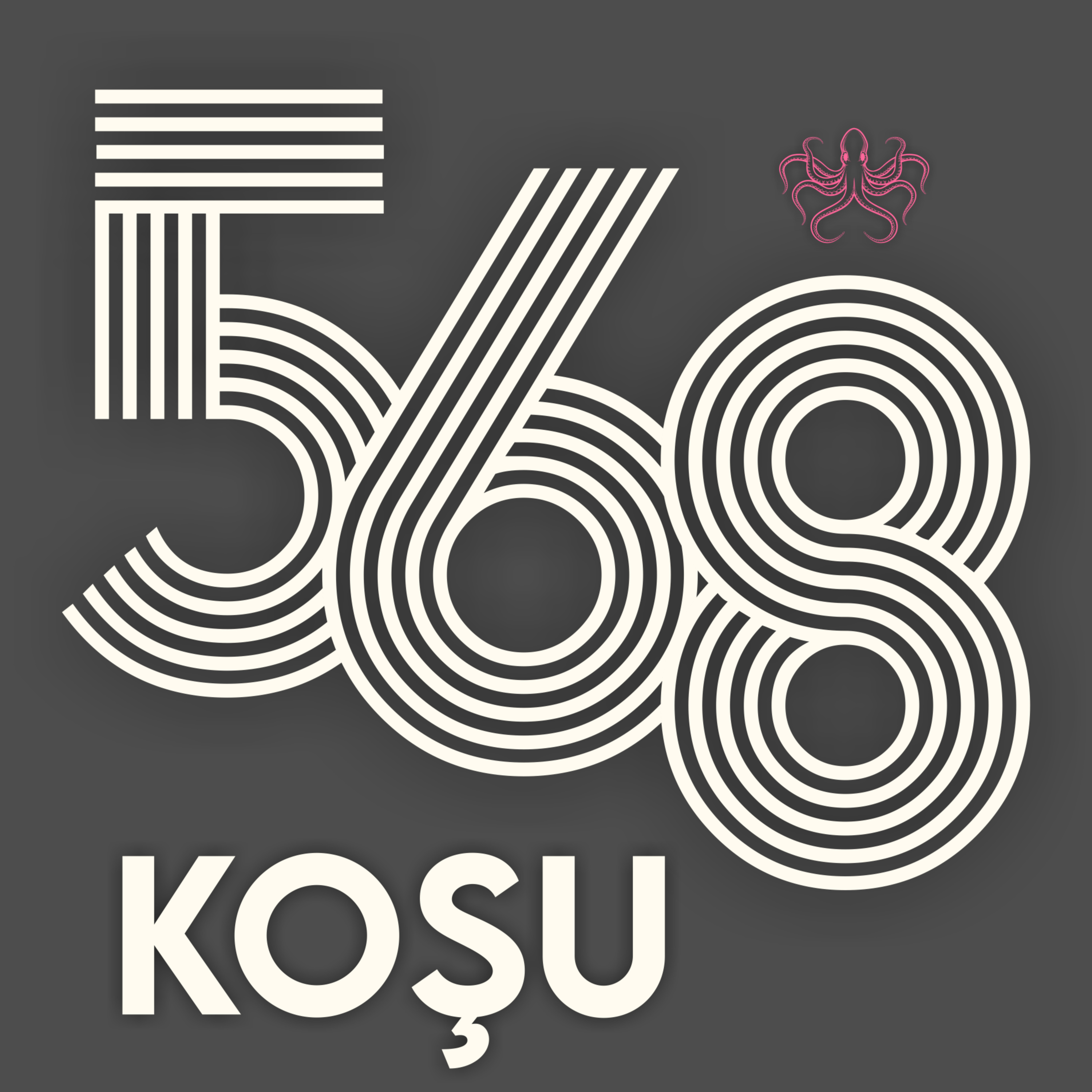 568 Koşu - Chicago Maraton 2023