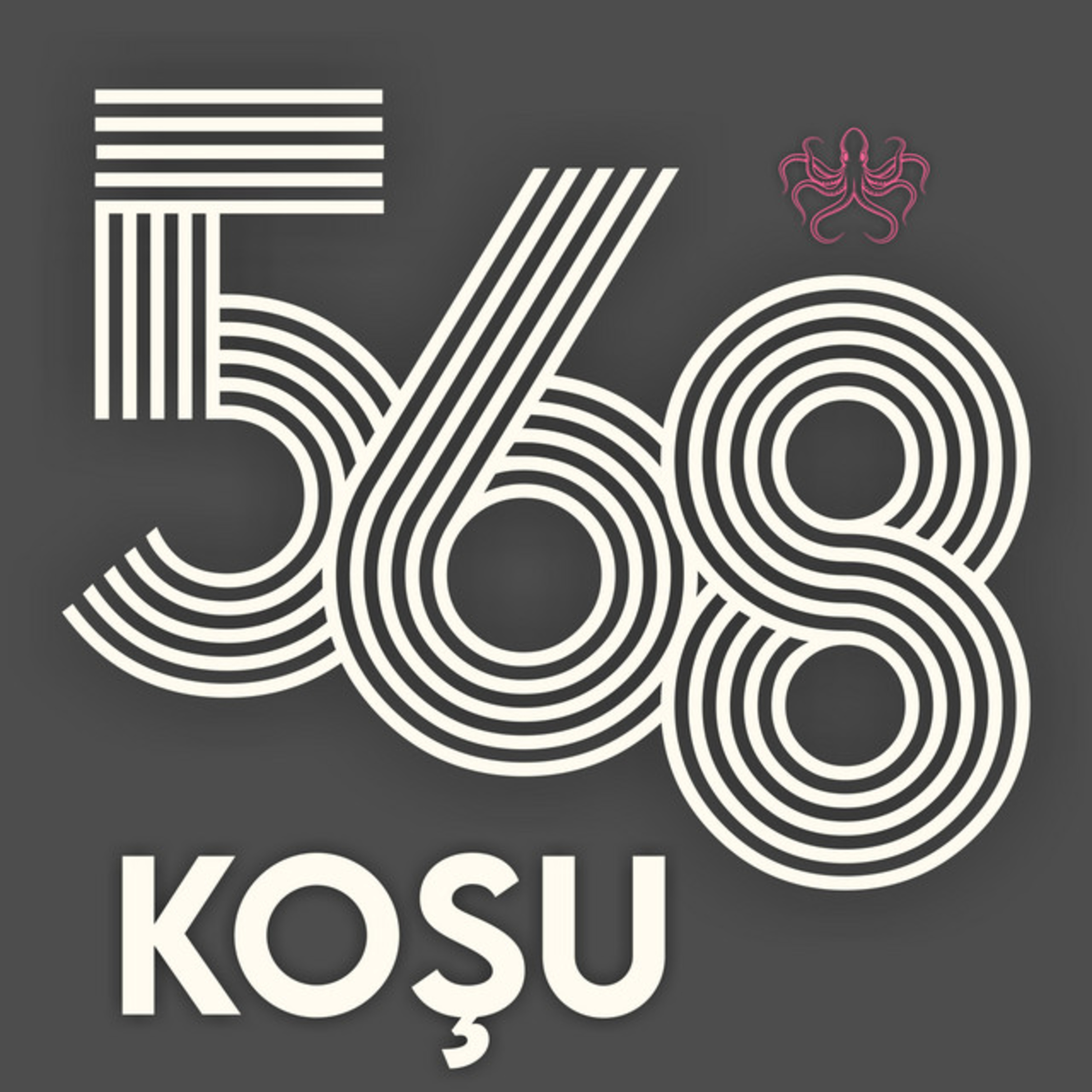 568 Koşu - Berlin Maratonu 2024