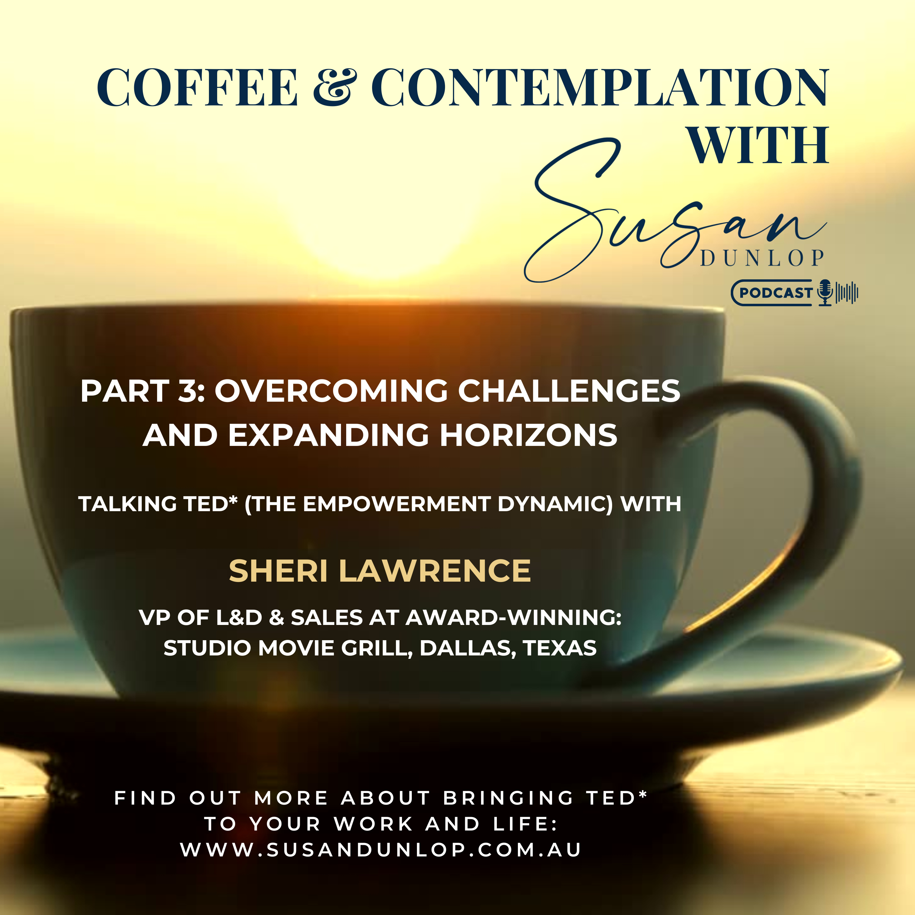 The Power of TED*: Part 3 in Conversation with Sheri Lawrence episode artwork