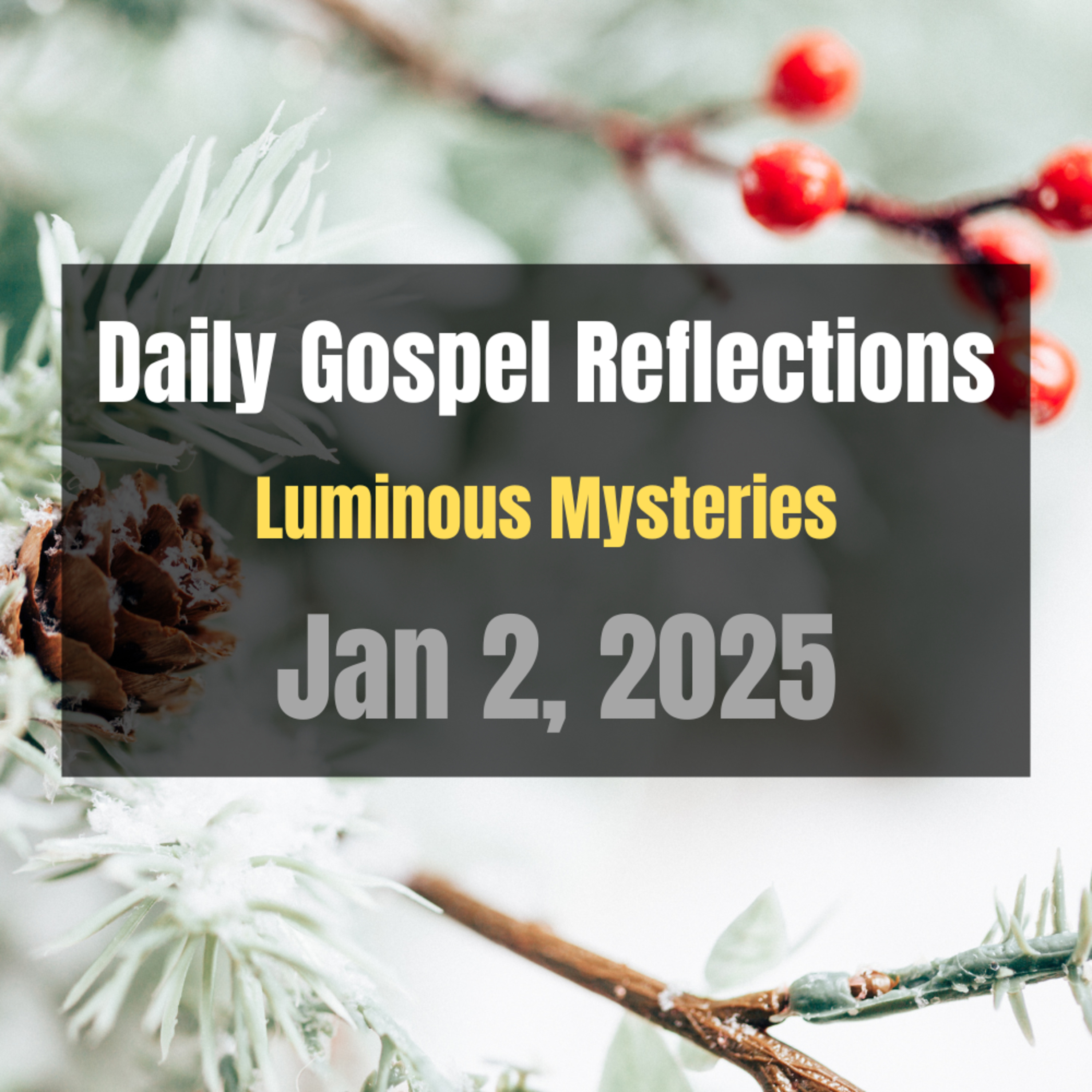 Daily Gospel Reflections for Jan 2, 2025 | Holy Rosary - Luminous Mysteries episode artwork