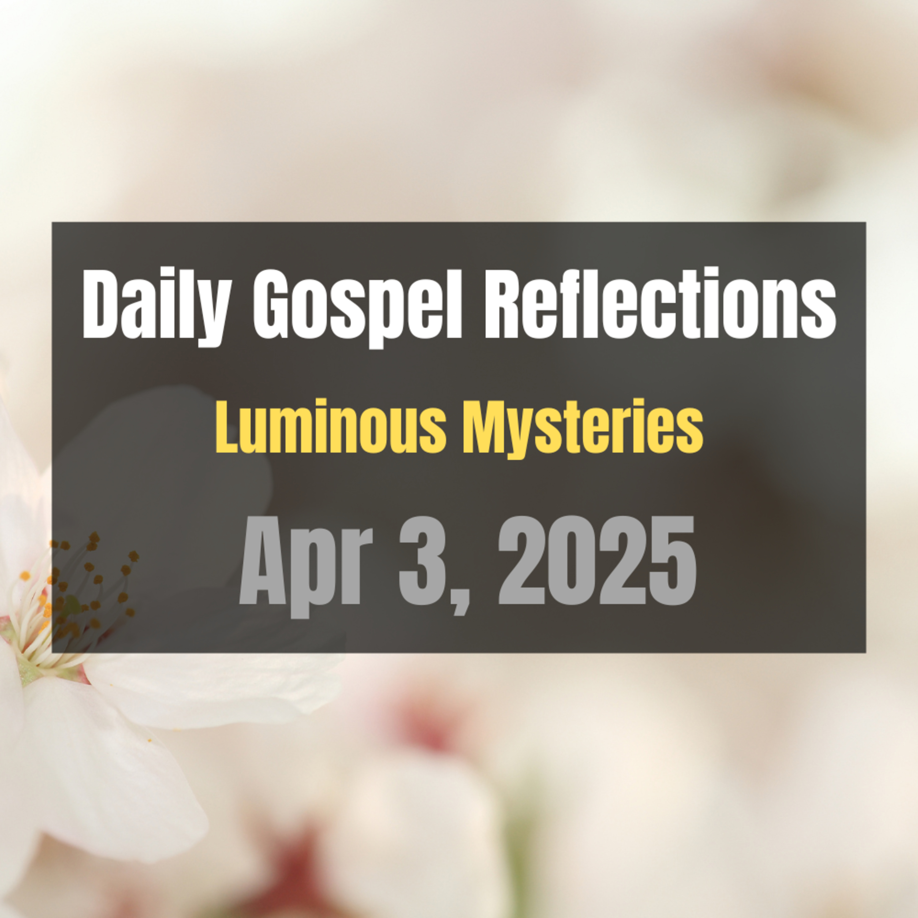 Daily Gospel Reflections for Apr 3, 2025 | Holy Rosary - Luminous Mysteries episode artwork