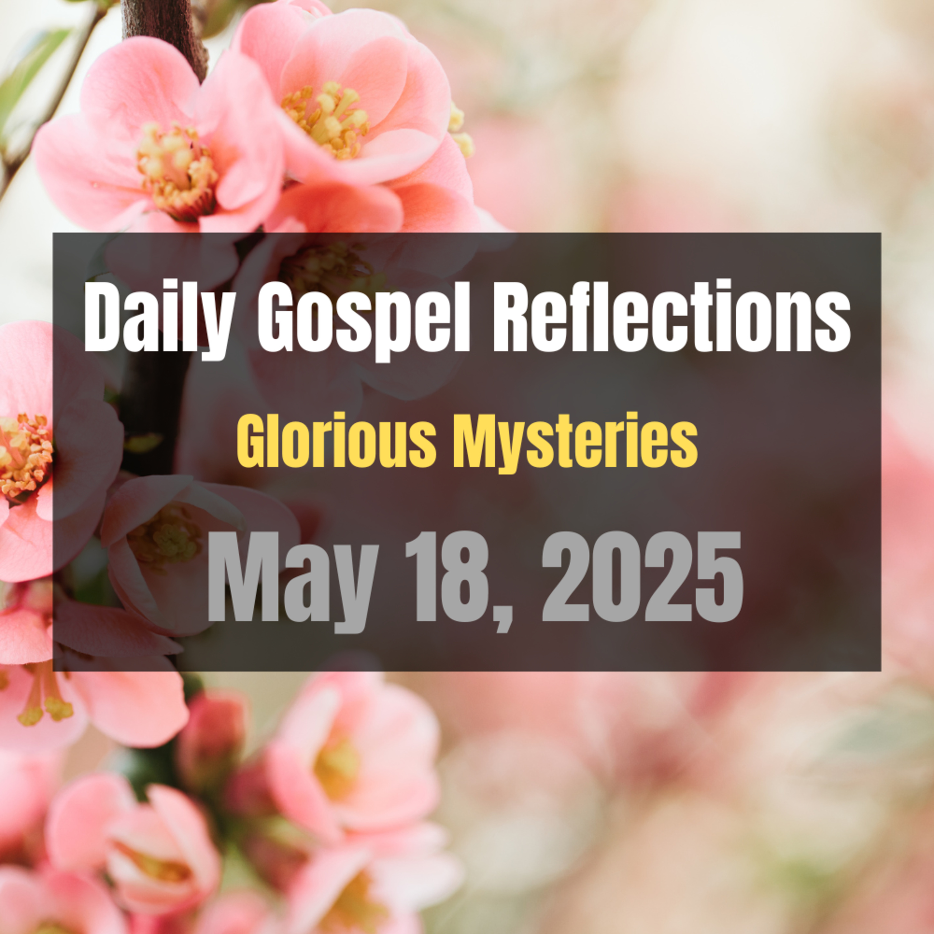 Daily Gospel Reflections for May 18, 2025 | Holy Rosary - Glorious Mysteries episode artwork