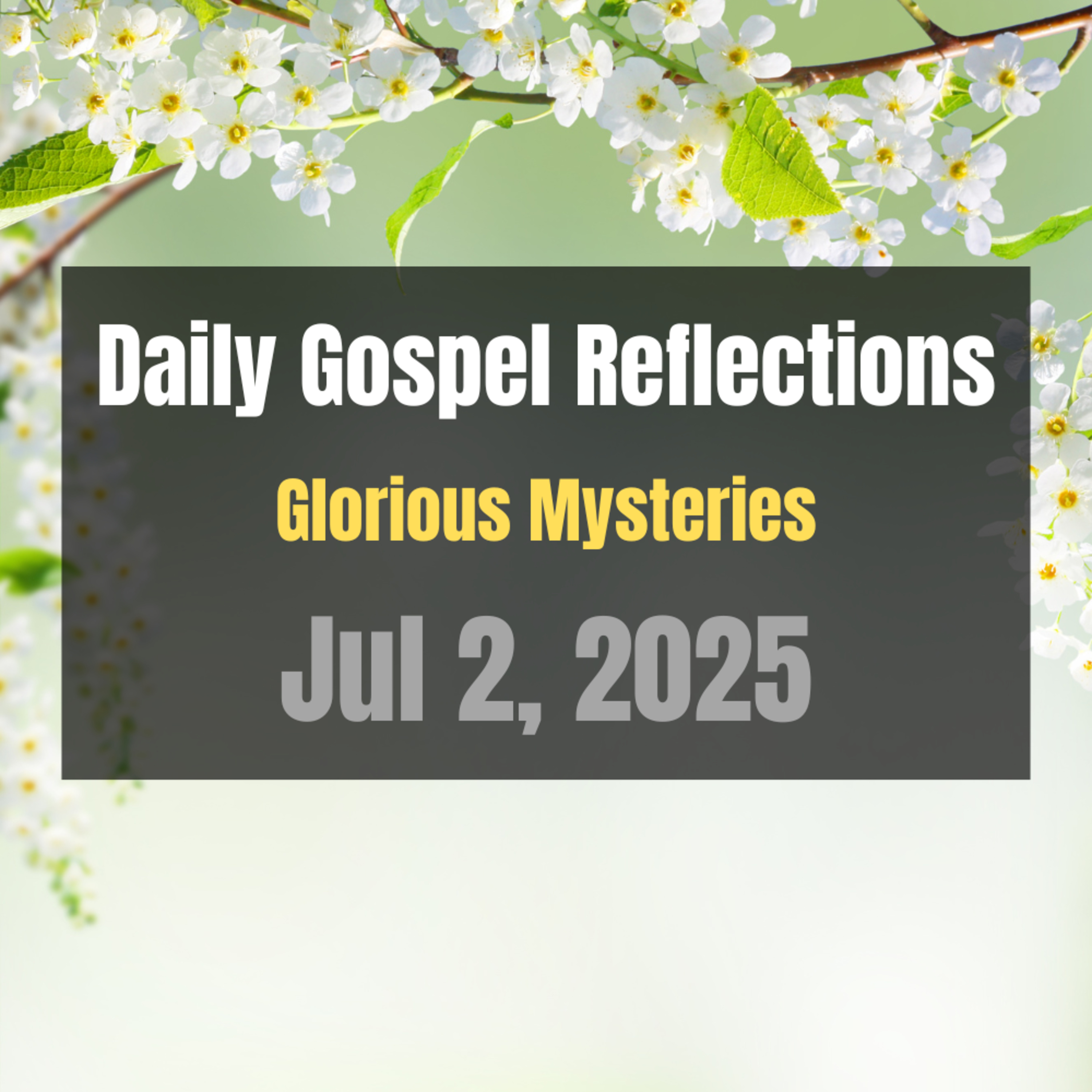 Daily Gospel Reflections for Jul 2, 2025 | Holy Rosary - Glorious Mysteries episode artwork