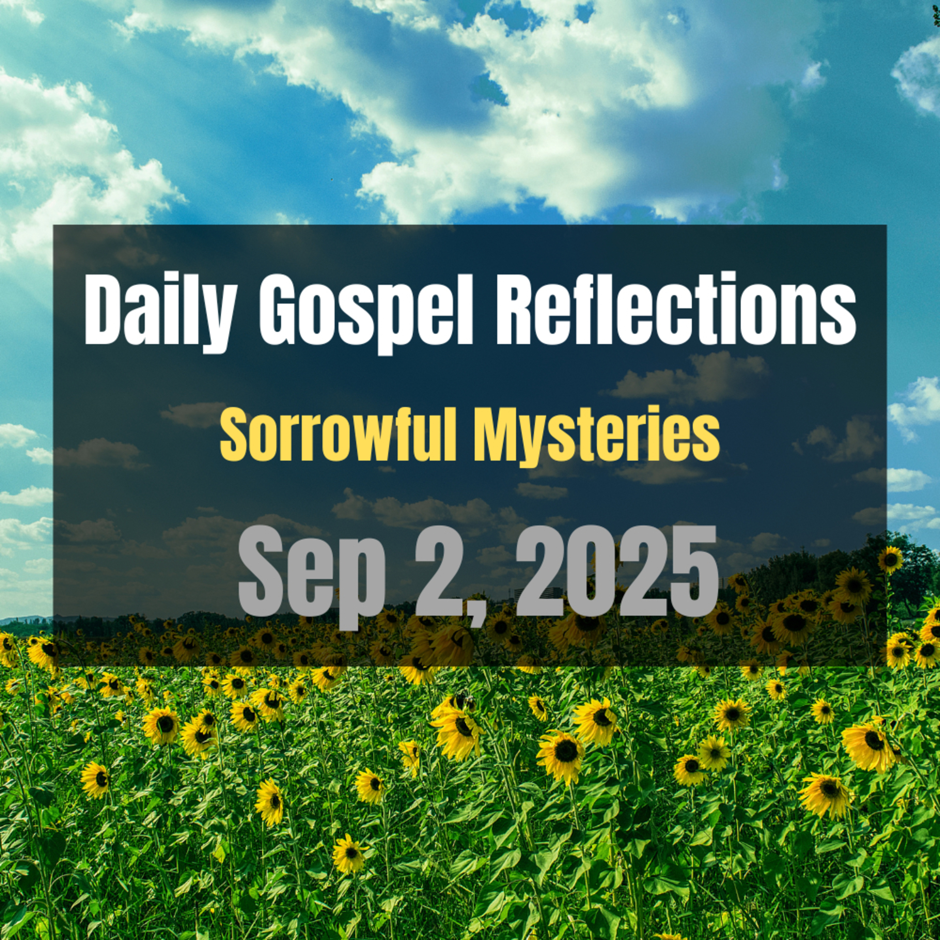 Daily Gospel Reflections for Sep 2, 2025 | Holy Rosary - Sorrowful Mysteries episode artwork