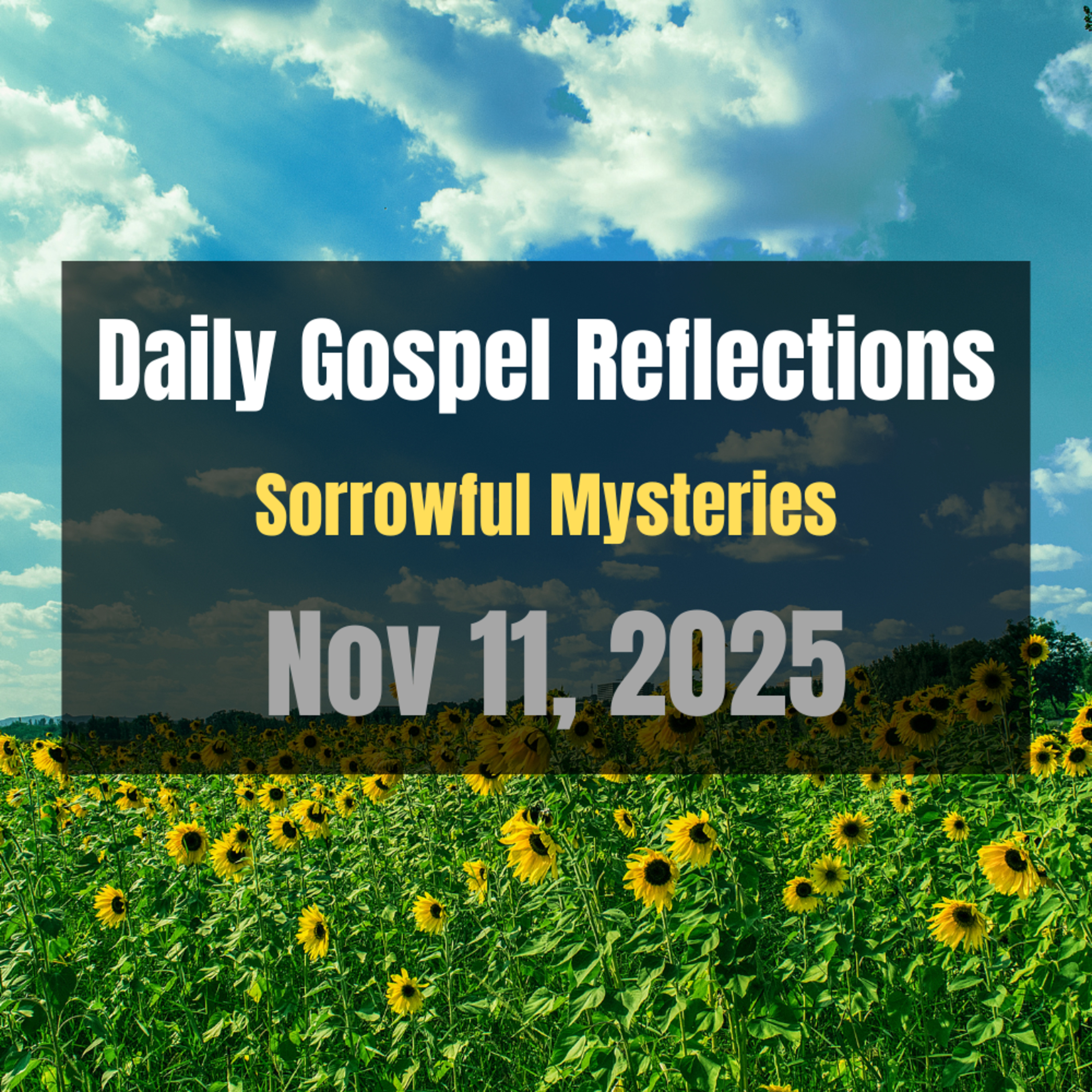 Daily Gospel Reflections for Nov 11, 2025 | Holy Rosary - Sorrowful Mysteries
