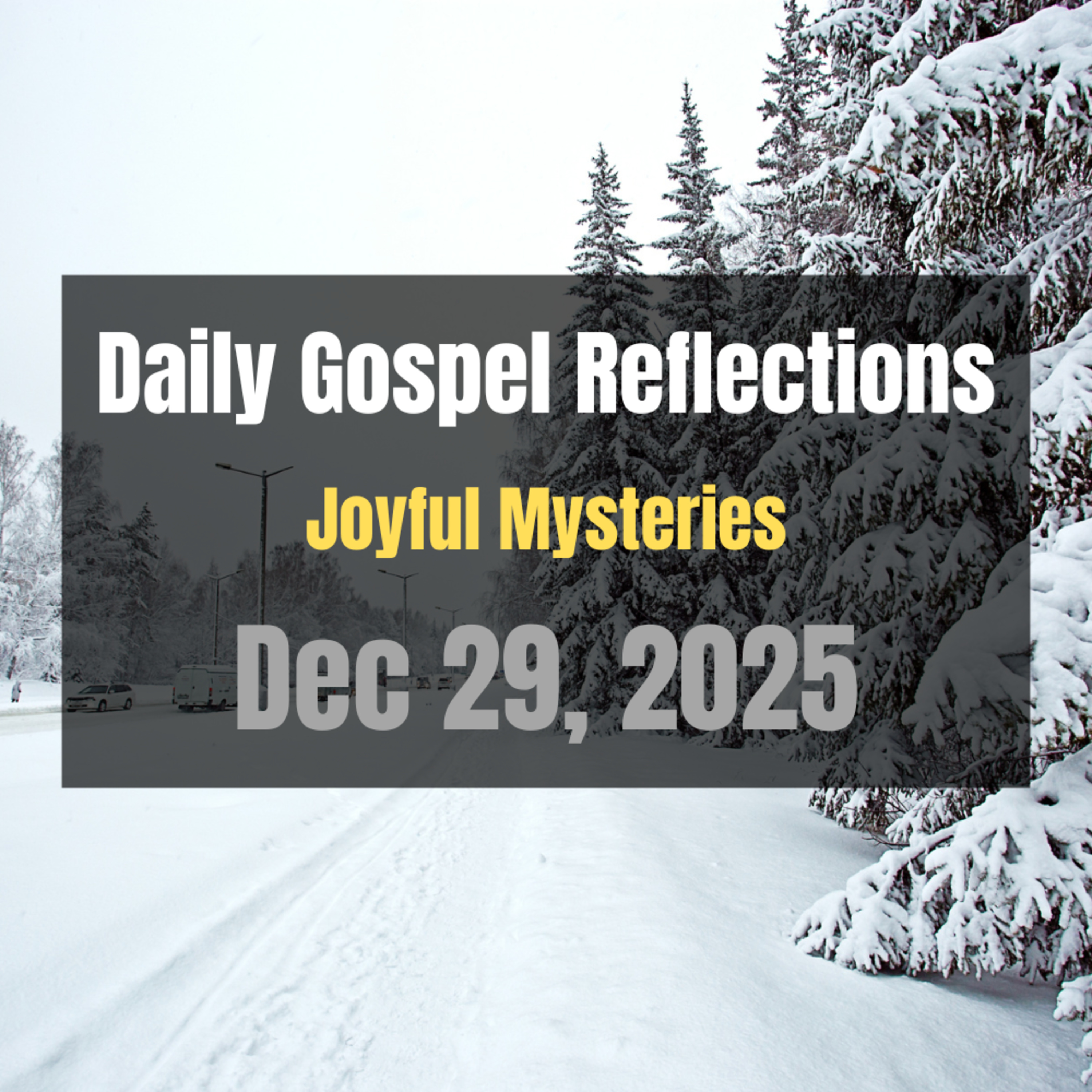 Daily Gospel Reflections for Dec 29, 2025 | Holy Rosary - Joyful Mysteries episode artwork