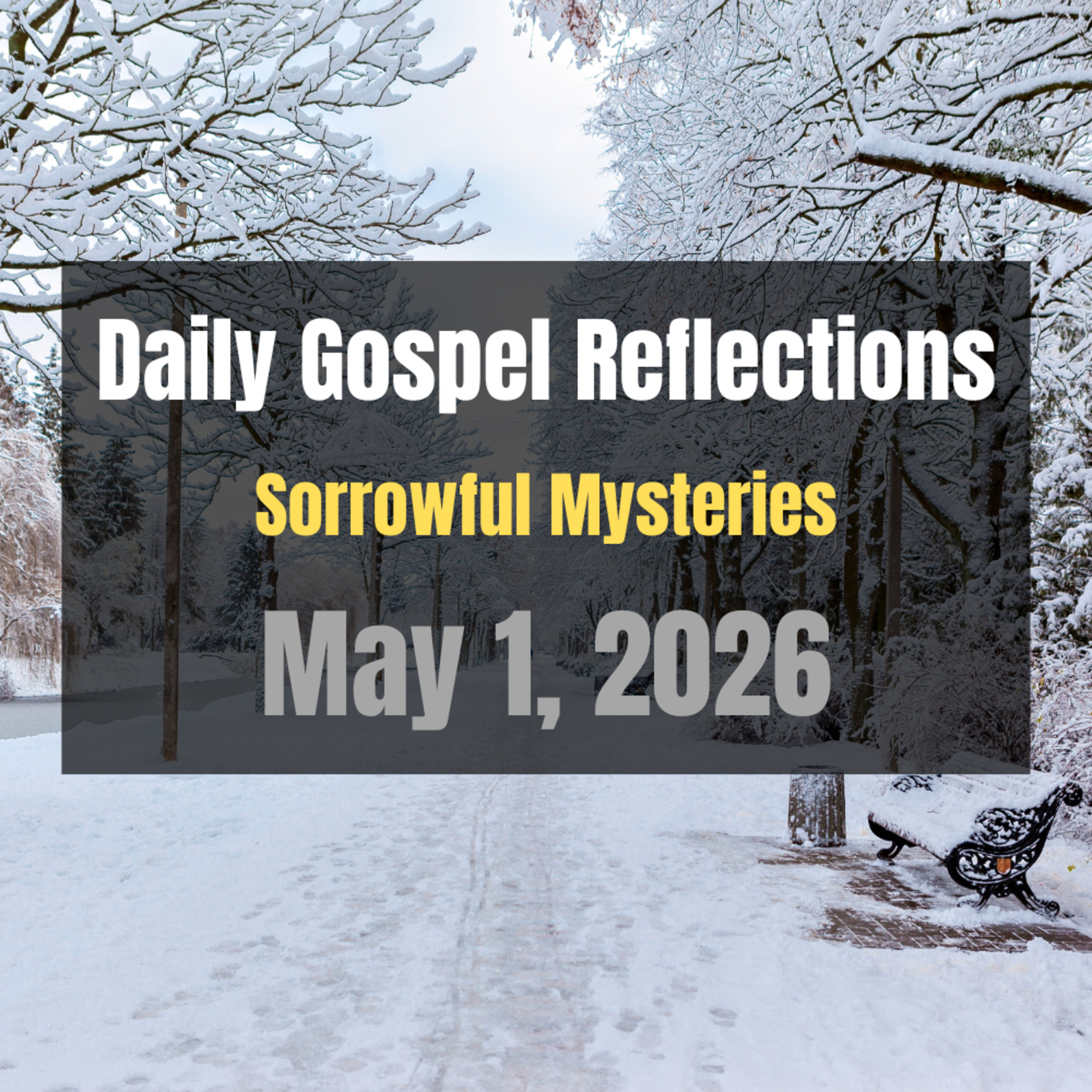 Daily Gospel Reflections for May 1, 2026 | Holy Rosary - Sorrowful Mysteries episode artwork