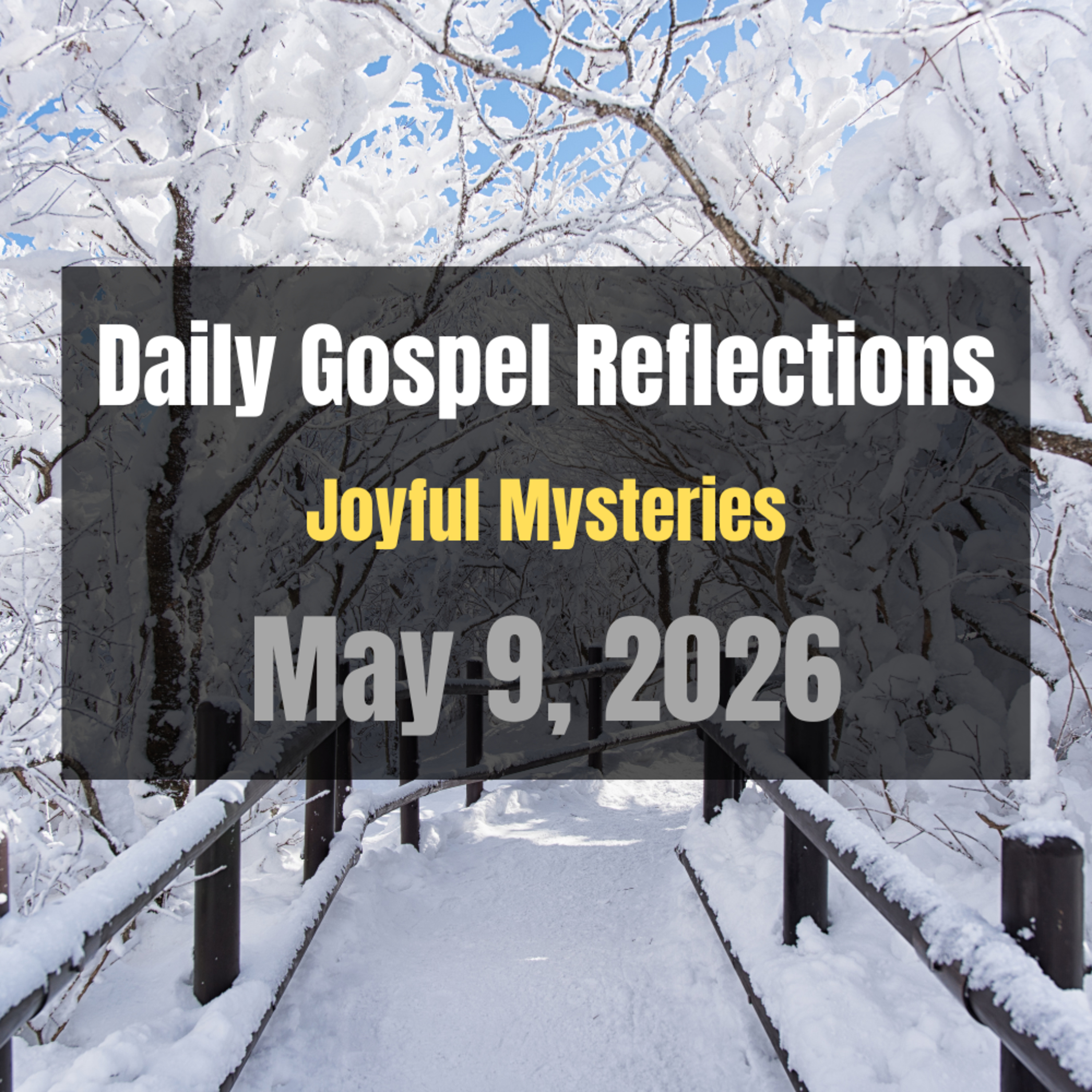 Daily Gospel Reflections for May 9, 2026 | Holy Rosary - Joyful Mysteries episode artwork