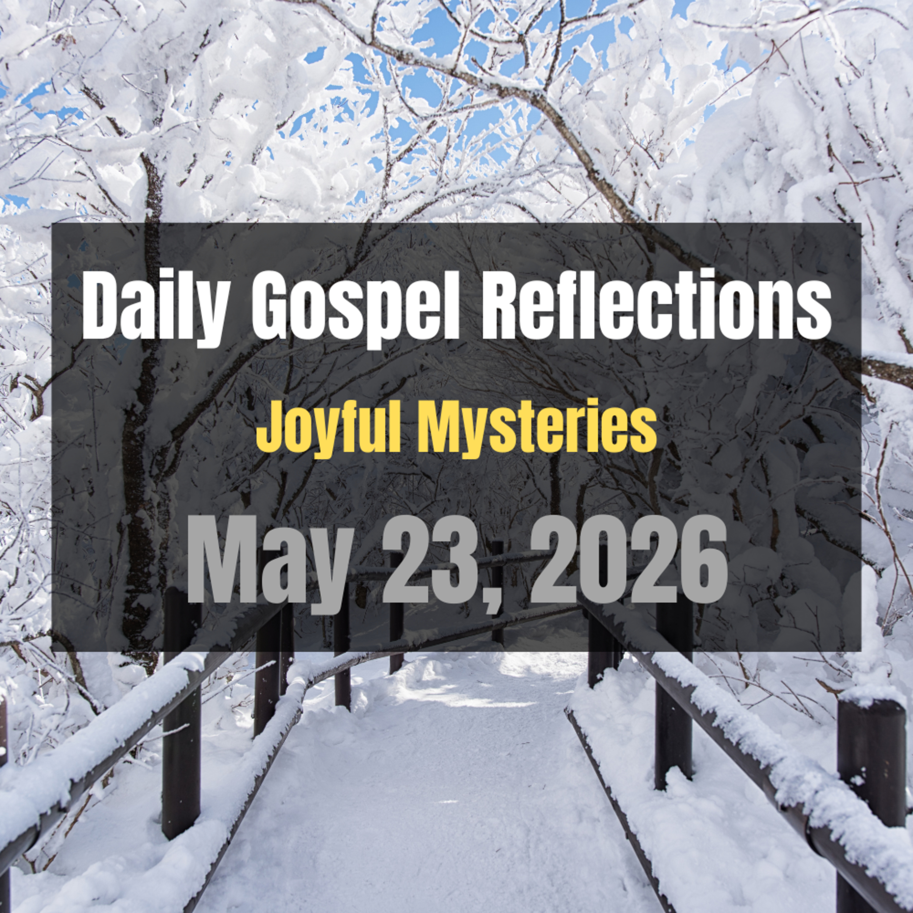 Daily Gospel Reflections for May 23, 2026 | Holy Rosary - Joyful Mysteries episode artwork