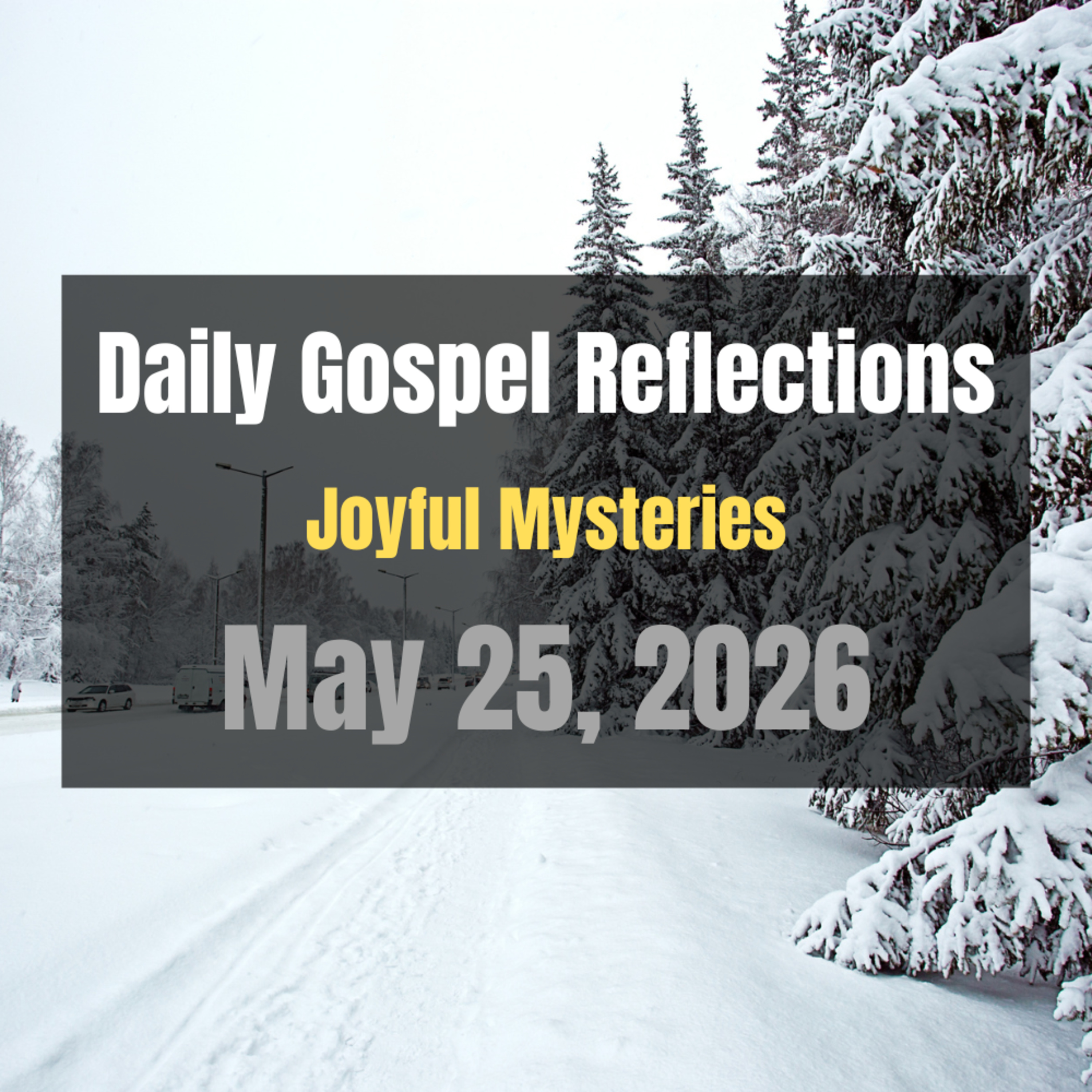 Daily Gospel Reflections for May 25, 2026 | Holy Rosary - Joyful Mysteries episode artwork