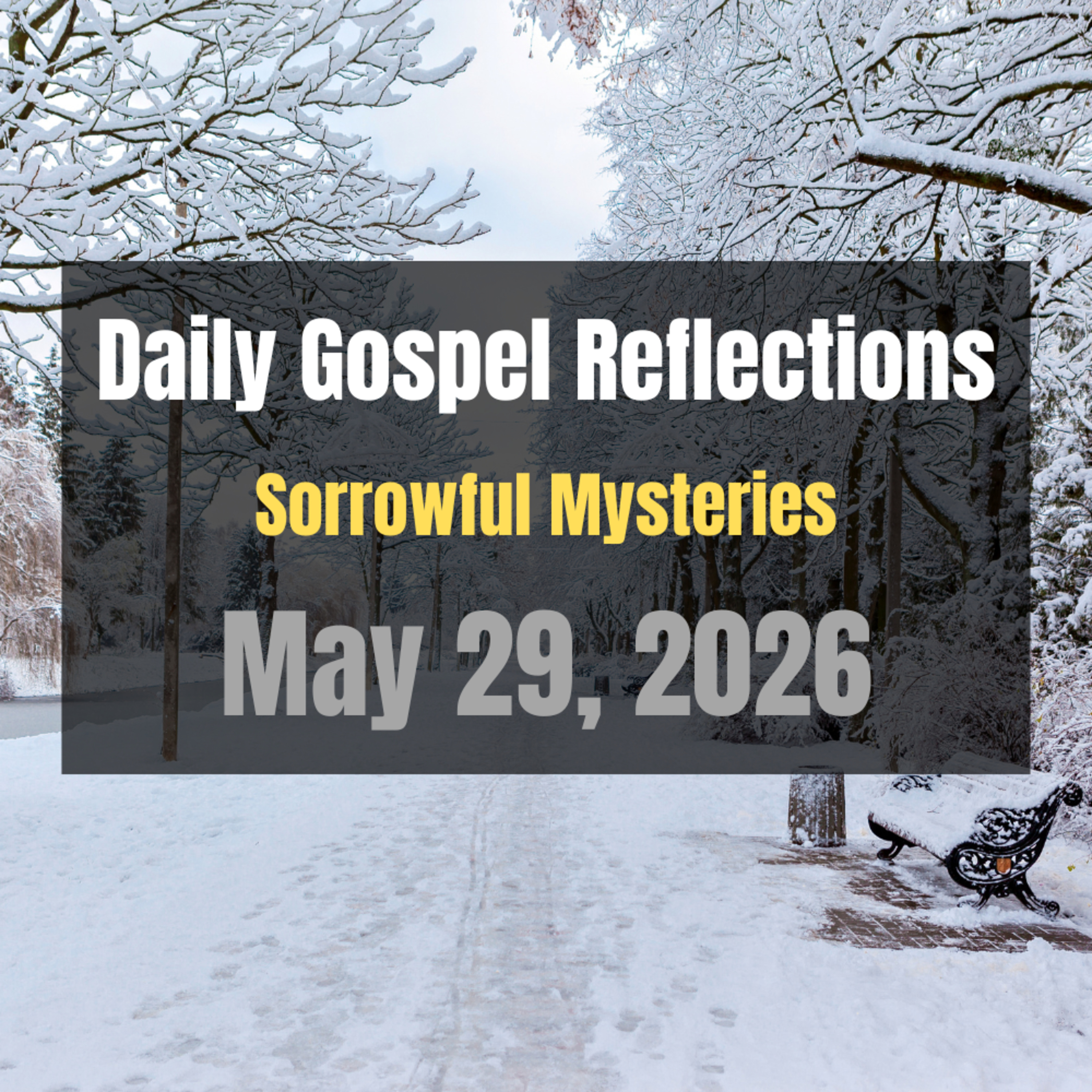 Daily Gospel Reflections for May 29, 2026 | Holy Rosary - Sorrowful Mysteries episode artwork