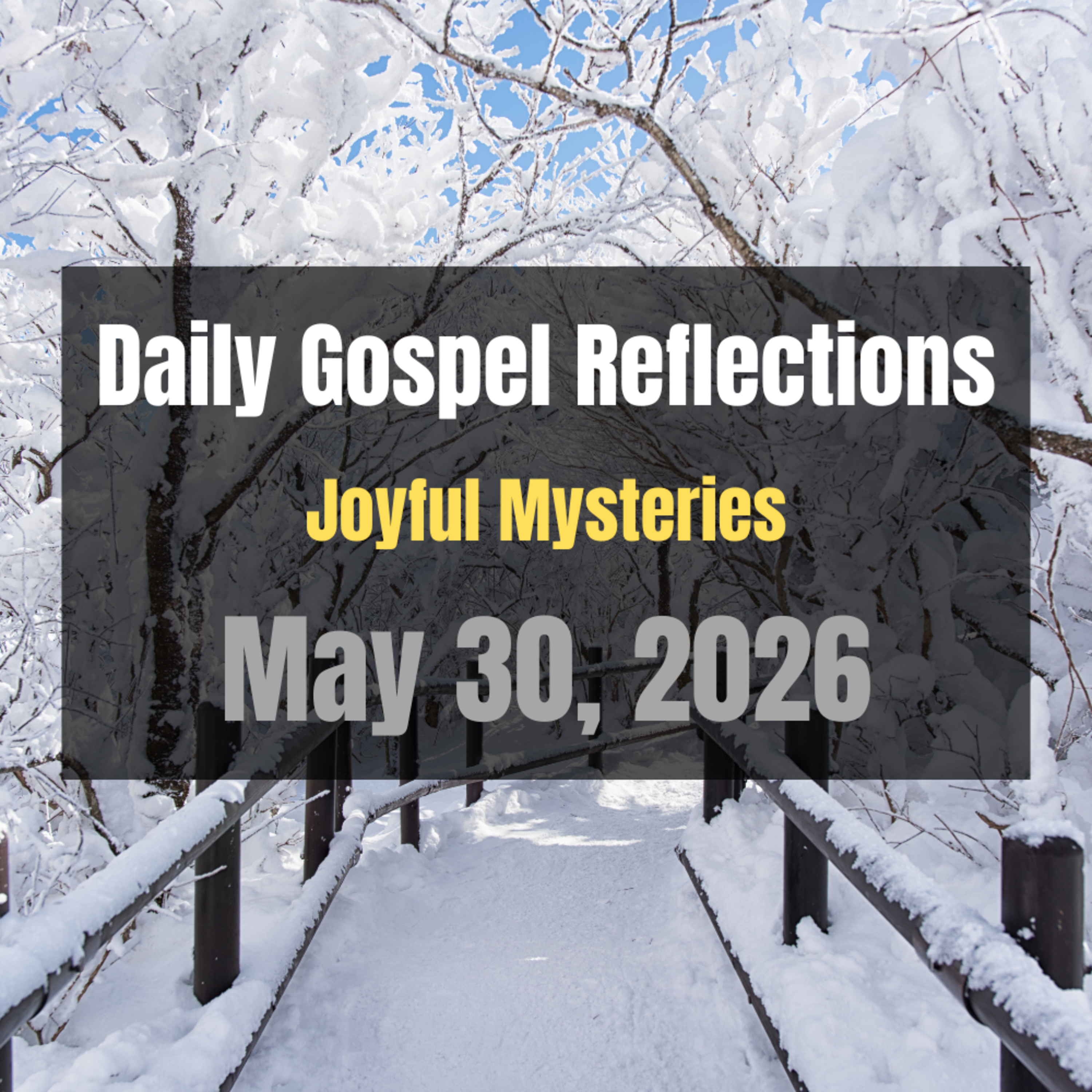 Daily Gospel Reflections for May 30, 2026 | Holy Rosary - Joyful Mysteries episode artwork