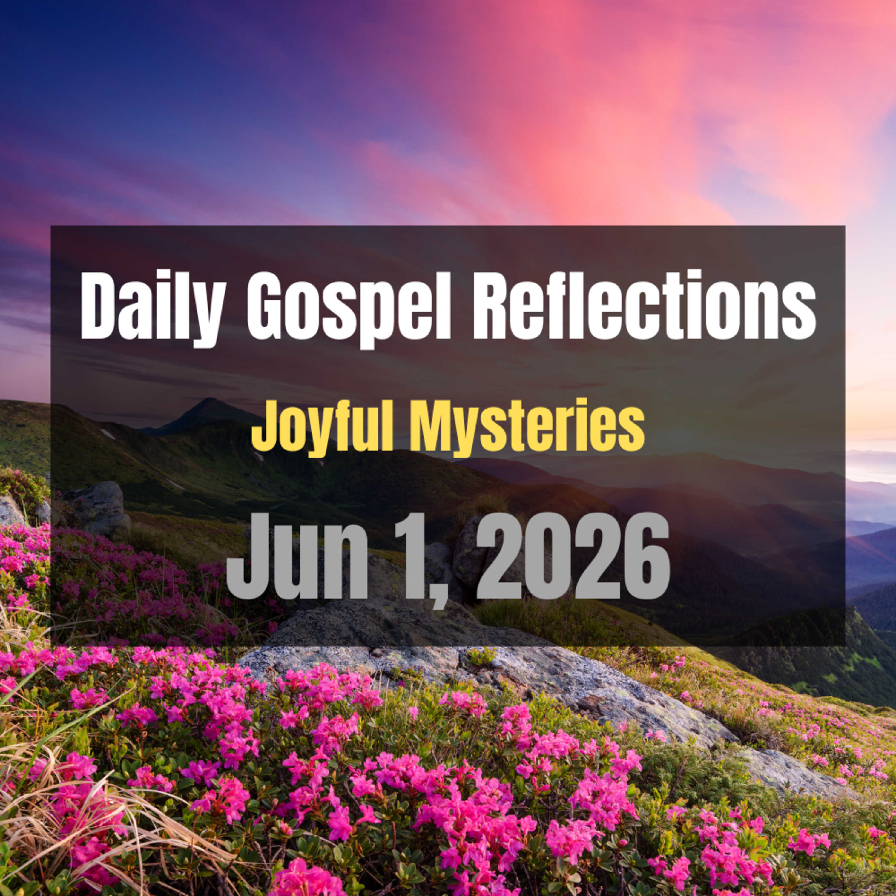 Daily Gospel Reflections for Jun 1, 2026 | Holy Rosary - Joyful Mysteries episode artwork