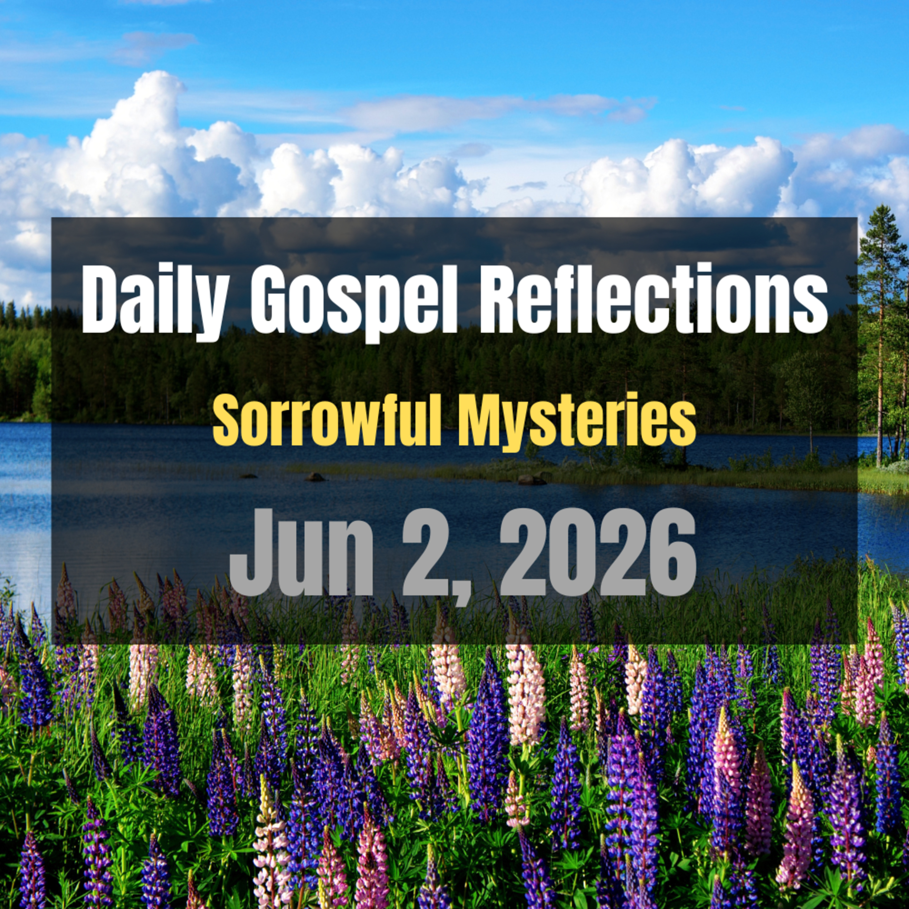 Daily Gospel Reflections for Jun 2, 2026 | Holy Rosary - Sorrowful Mysteries episode artwork