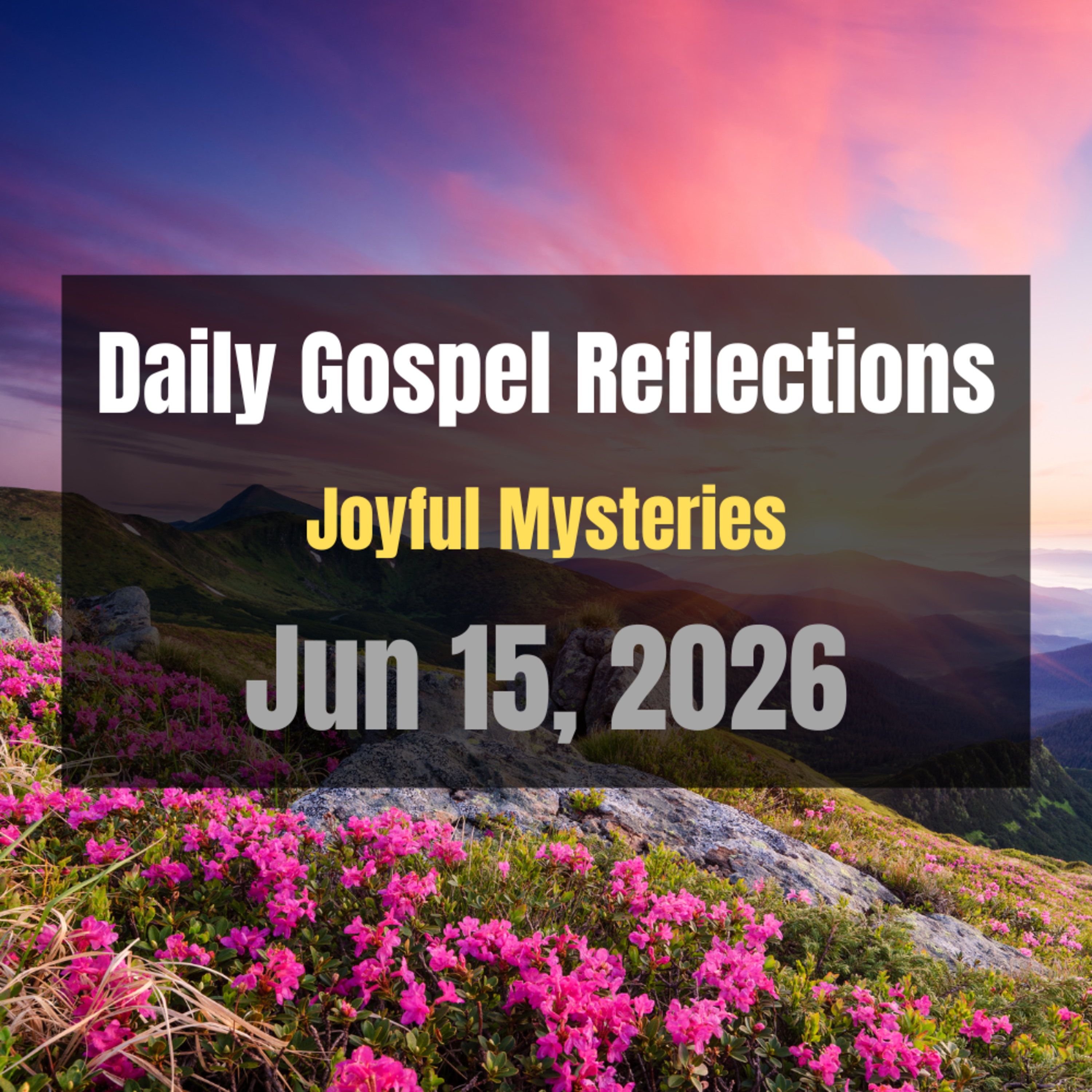 Daily Gospel Reflections for Jun 15, 2026 | Holy Rosary - Joyful Mysteries episode artwork