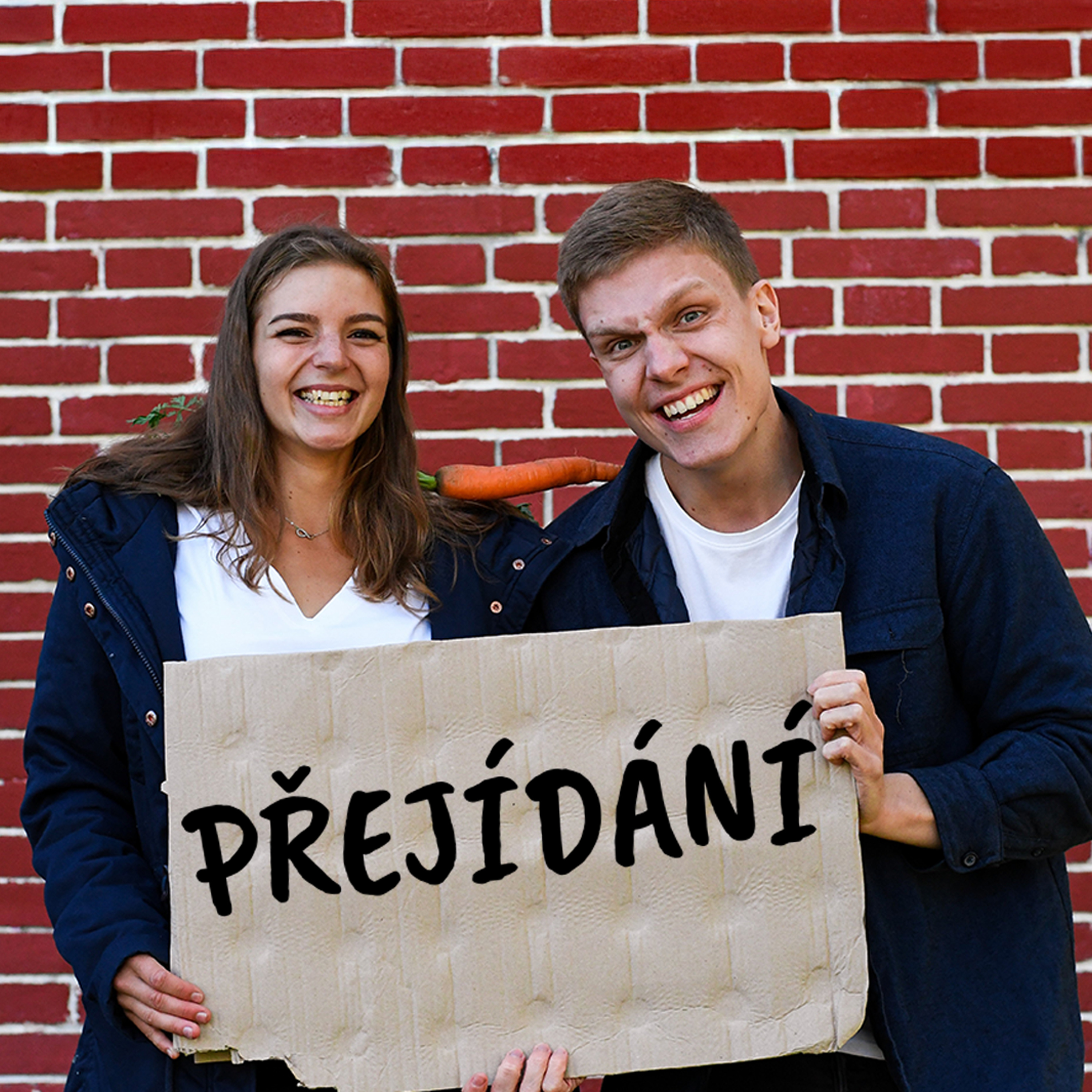 #26 PŘEJÍDÁNÍ - proč to nemusí být slabá vůle