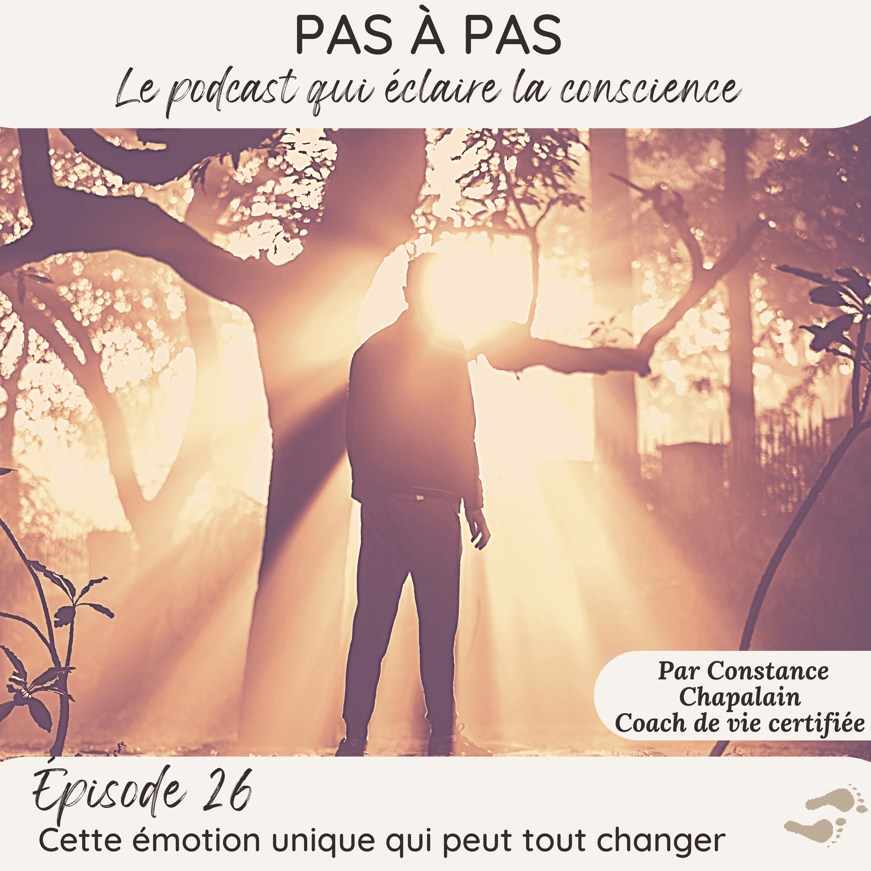 Pas à Pas
