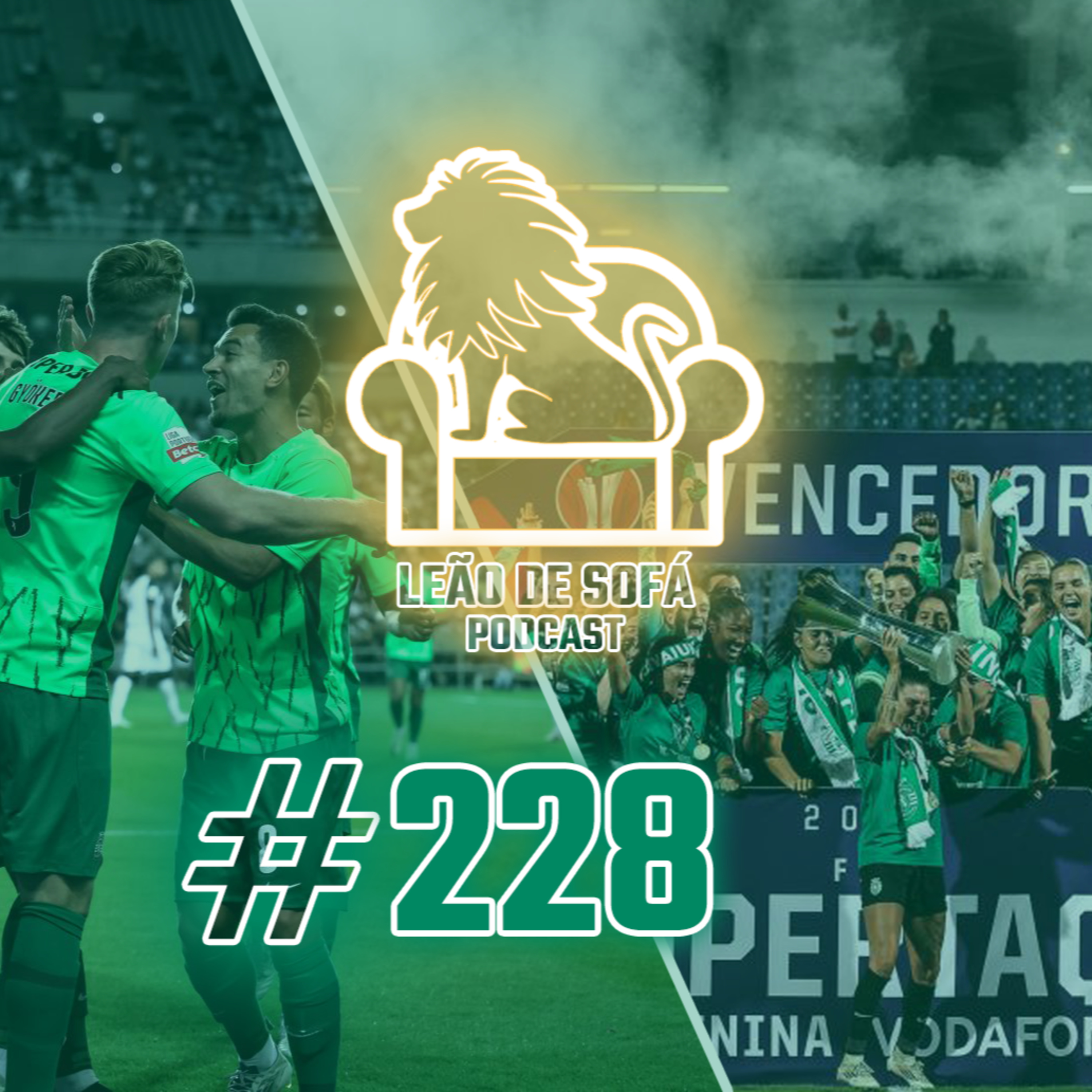 #228 - Os Leões caçam, e as Leoas matam a fome episode artwork