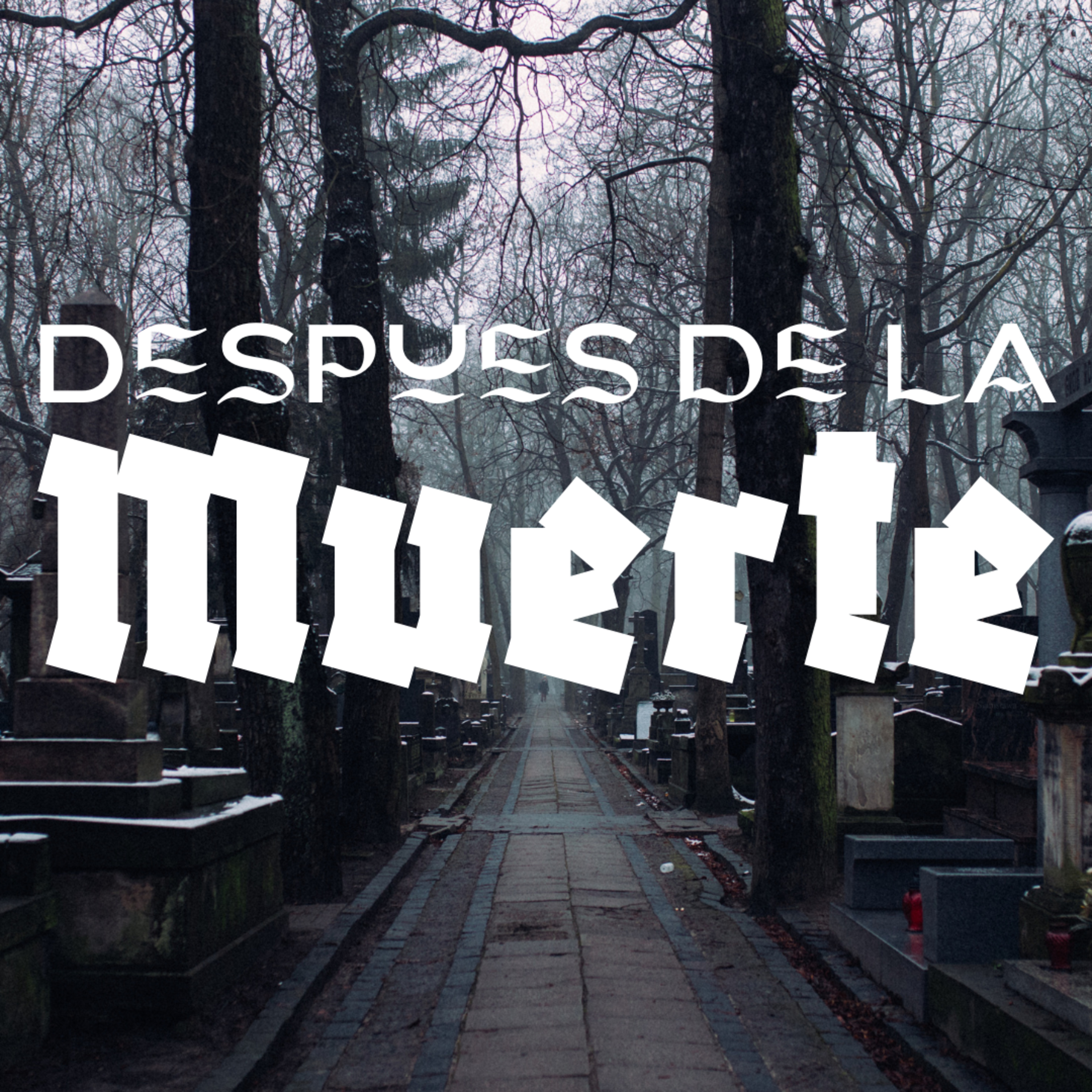Despues de la muerte | David Trinidad | Serie: Cuaresma reformada | Bread life episode artwork
