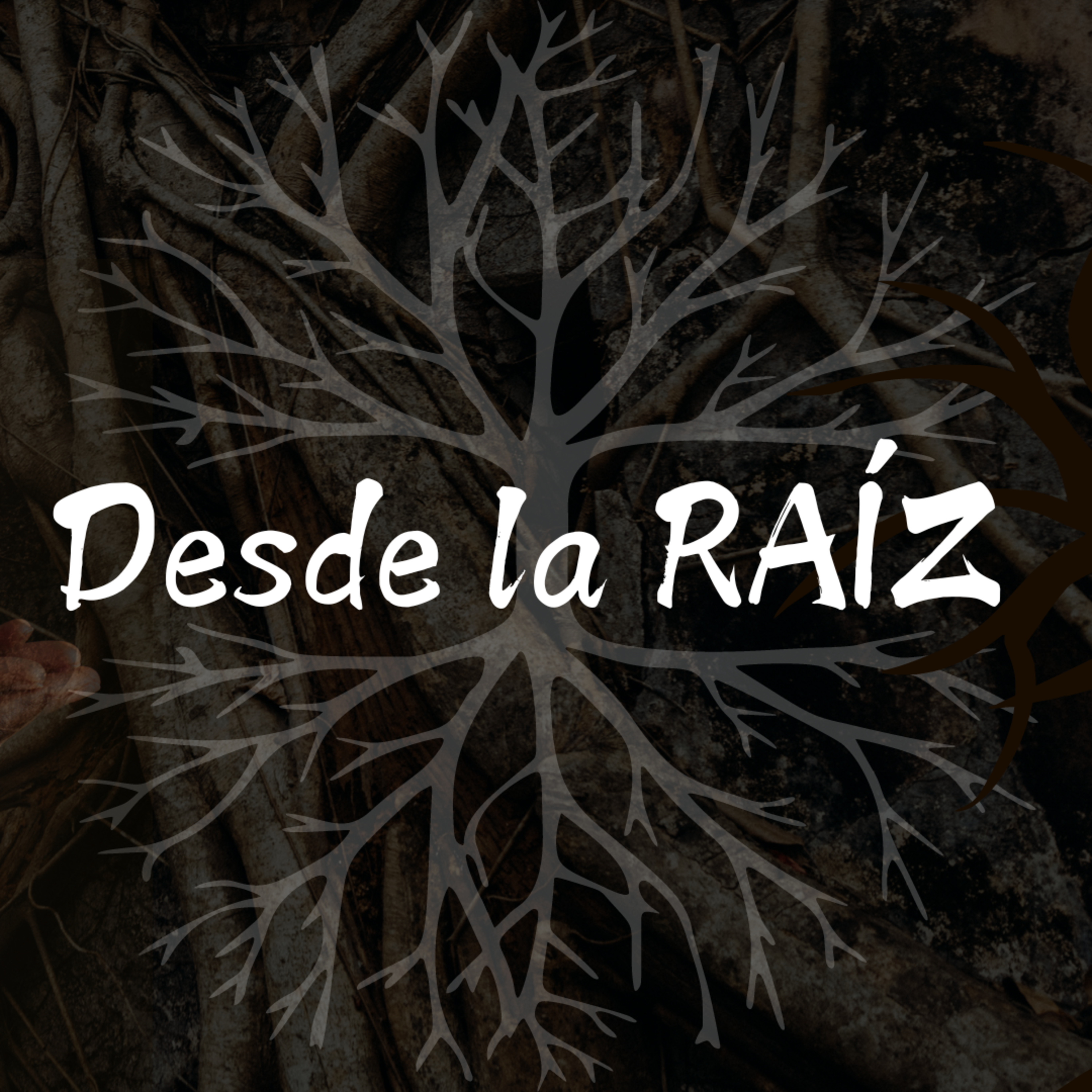 Desde la raíz | Nayn Gonzales | Serie: DETOX | Bread life episode artwork