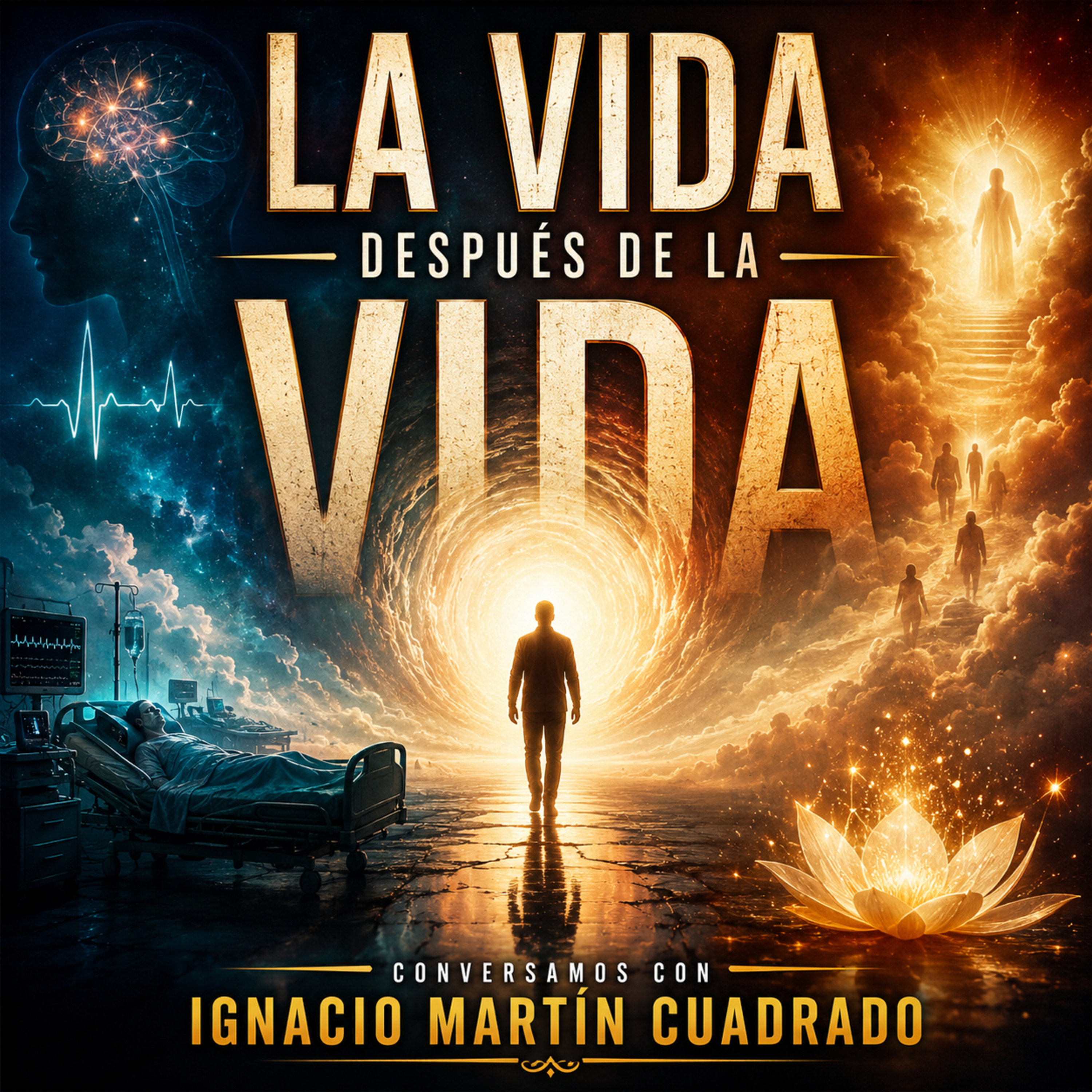 Dimensión Oculta (9x27) "La vida después de la vida" episode artwork