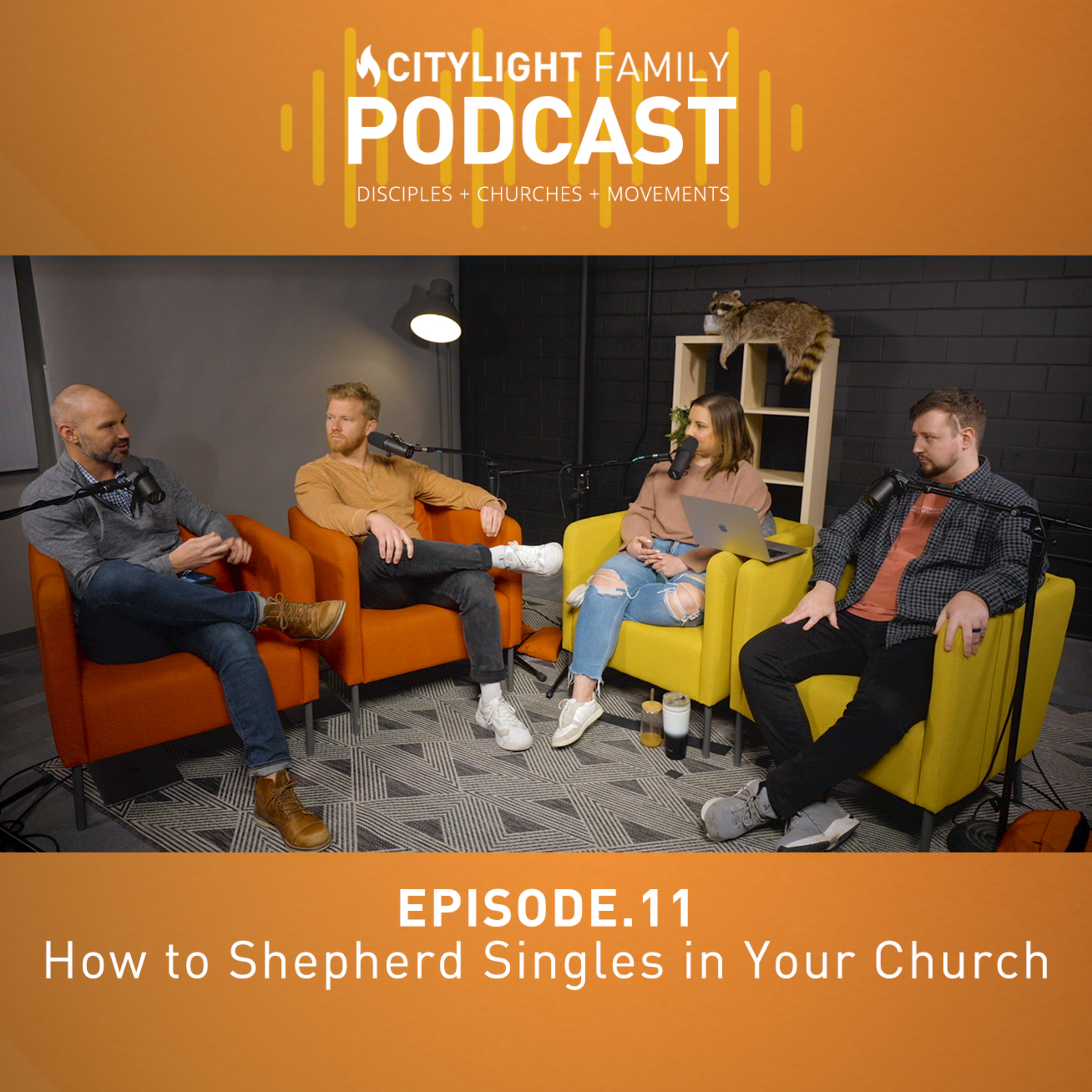 Episode 11 - How to Shepherd Singles in Your Church episode artwork