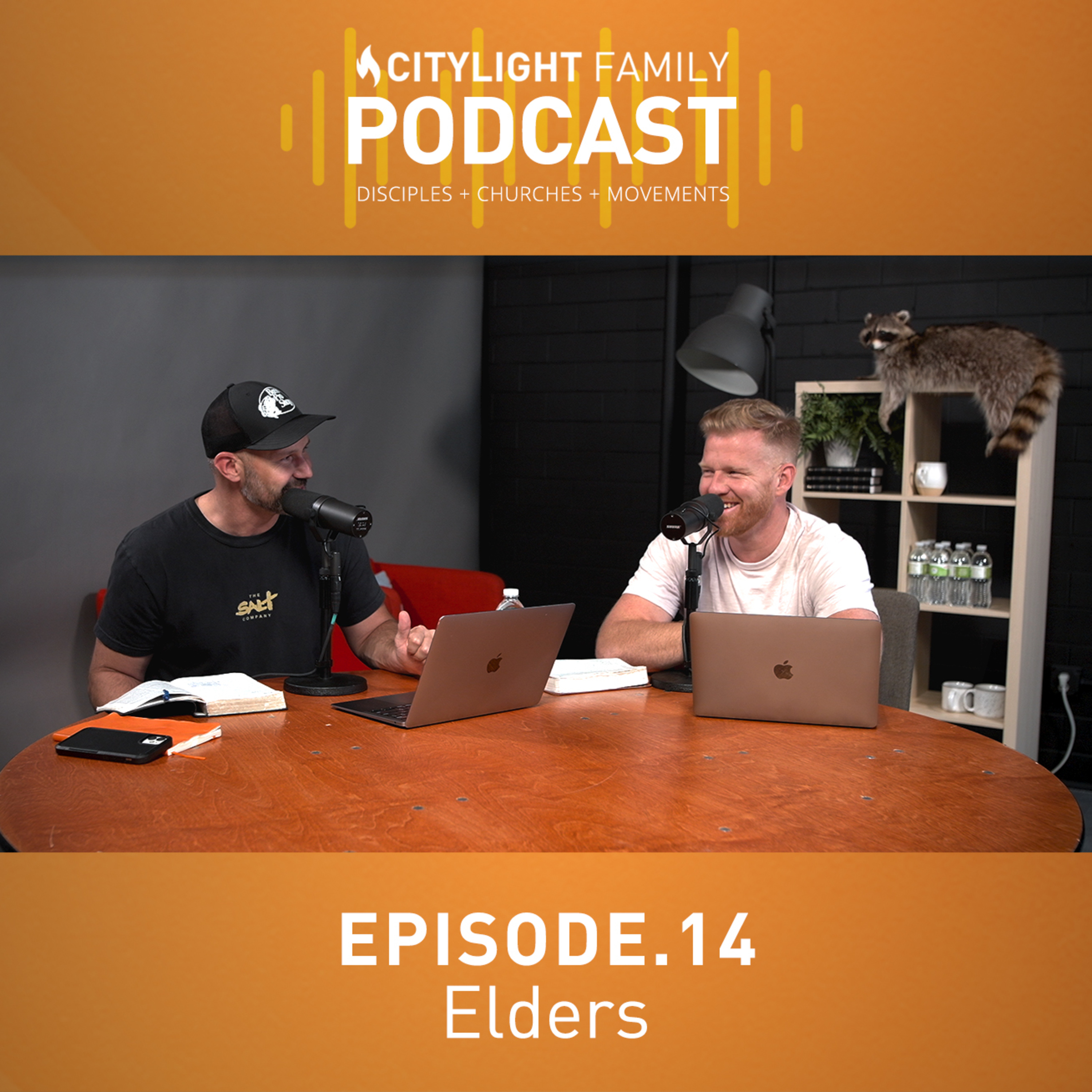 Episode 14 - Elders episode artwork
