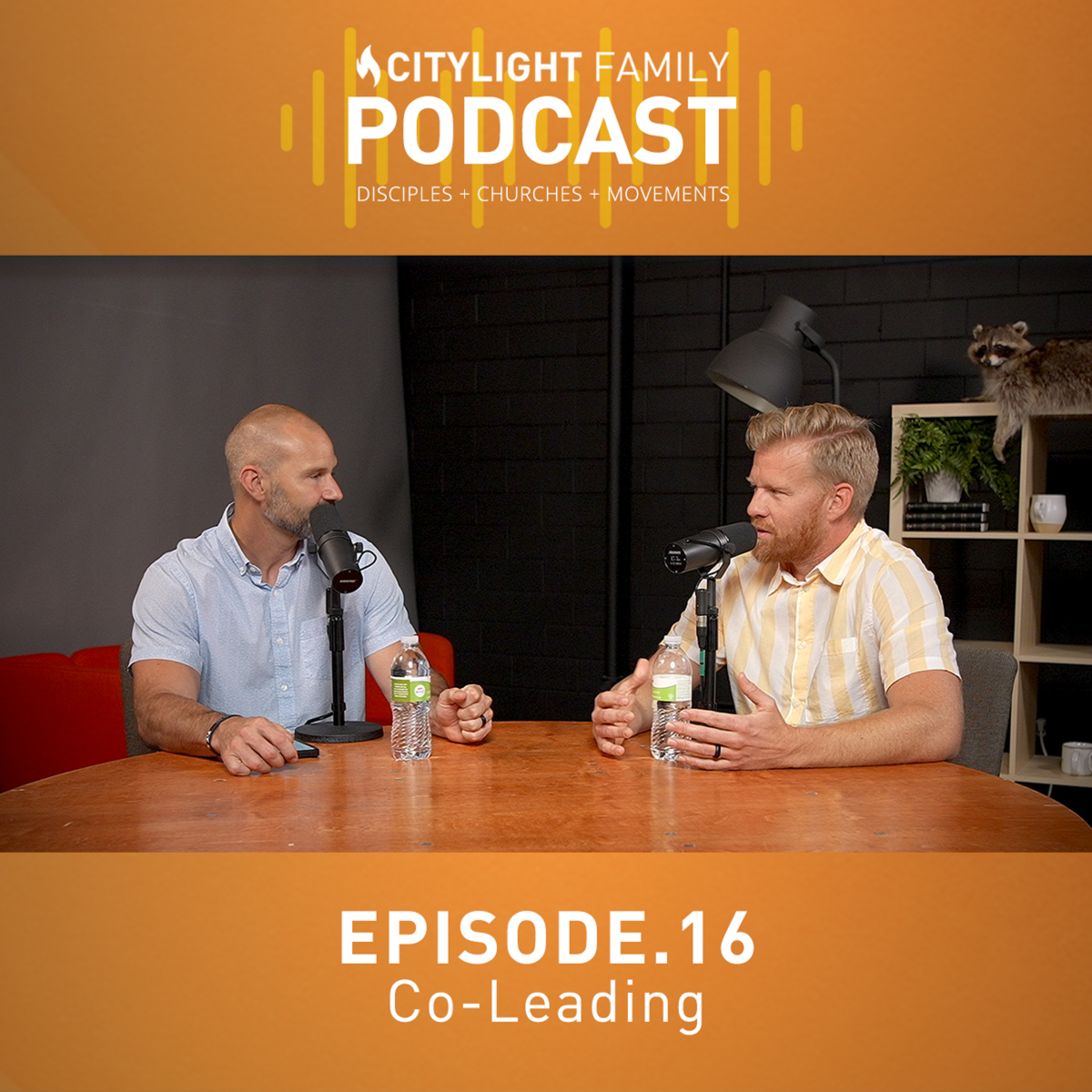 Episode 16 - Co Leadership episode artwork