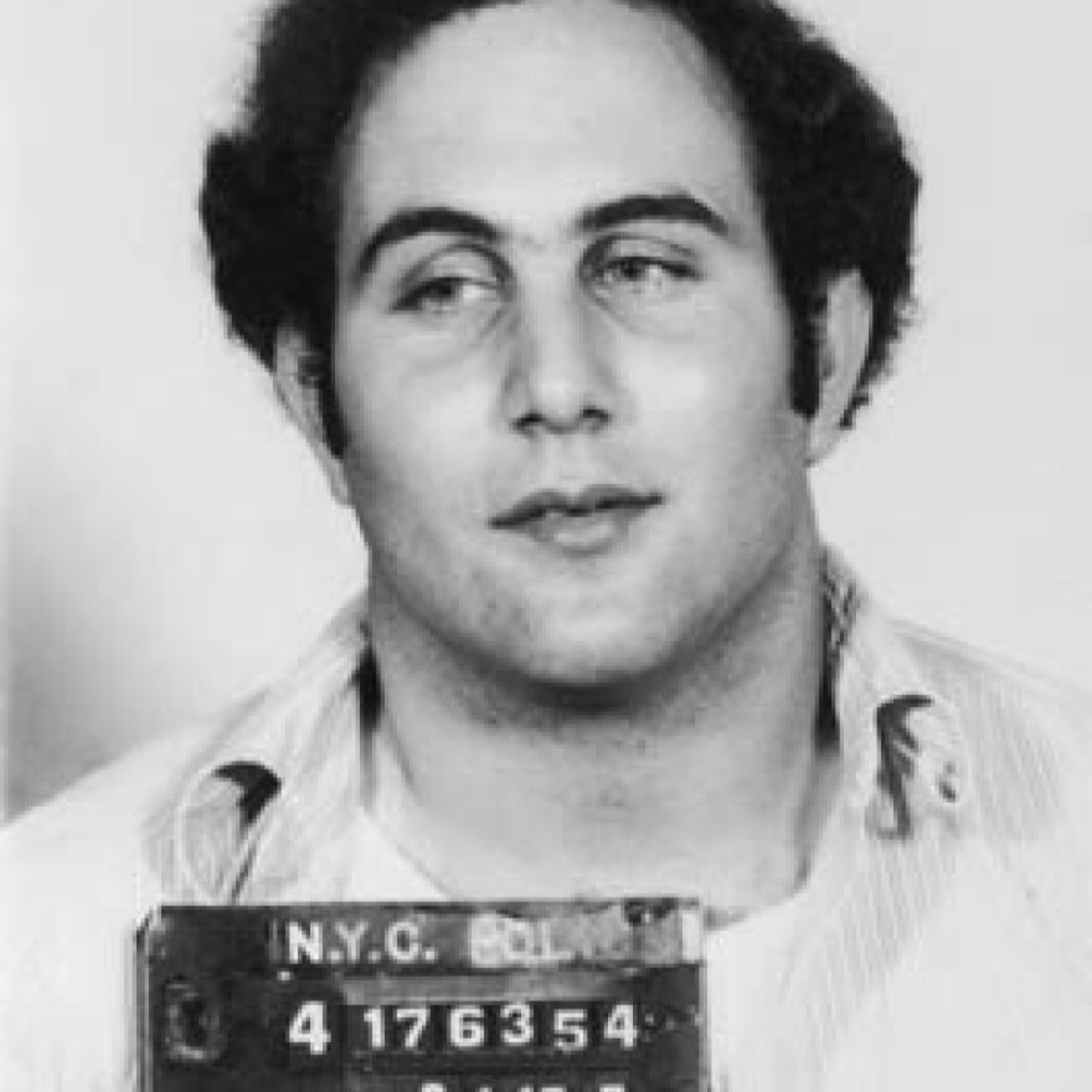 Season 28. Episode 688: The Daily Crime Pilot: David Berkowitz "The Son of Sam" episode artwork