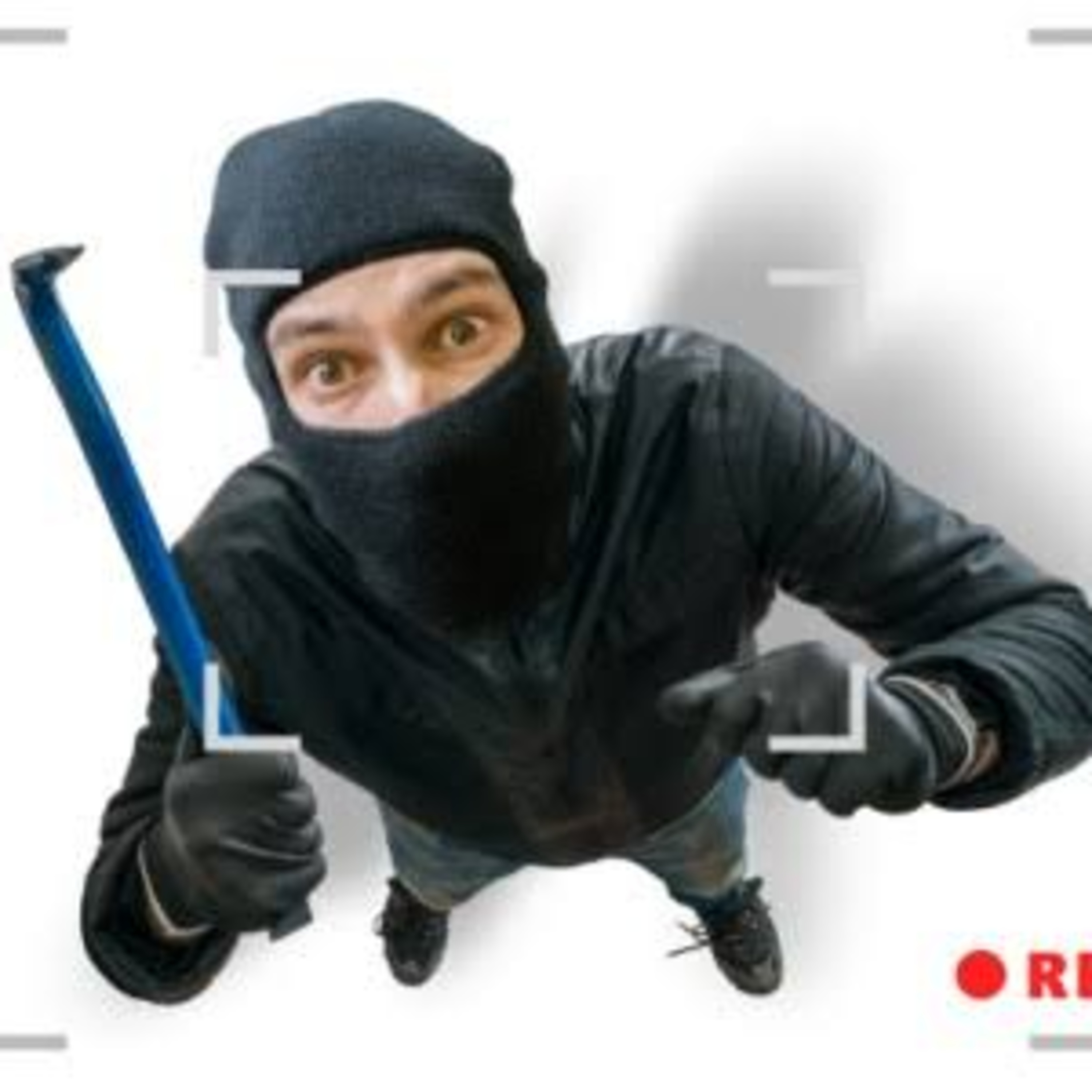 The Daily Crime Episode 5: The dumbest crimes episode artwork