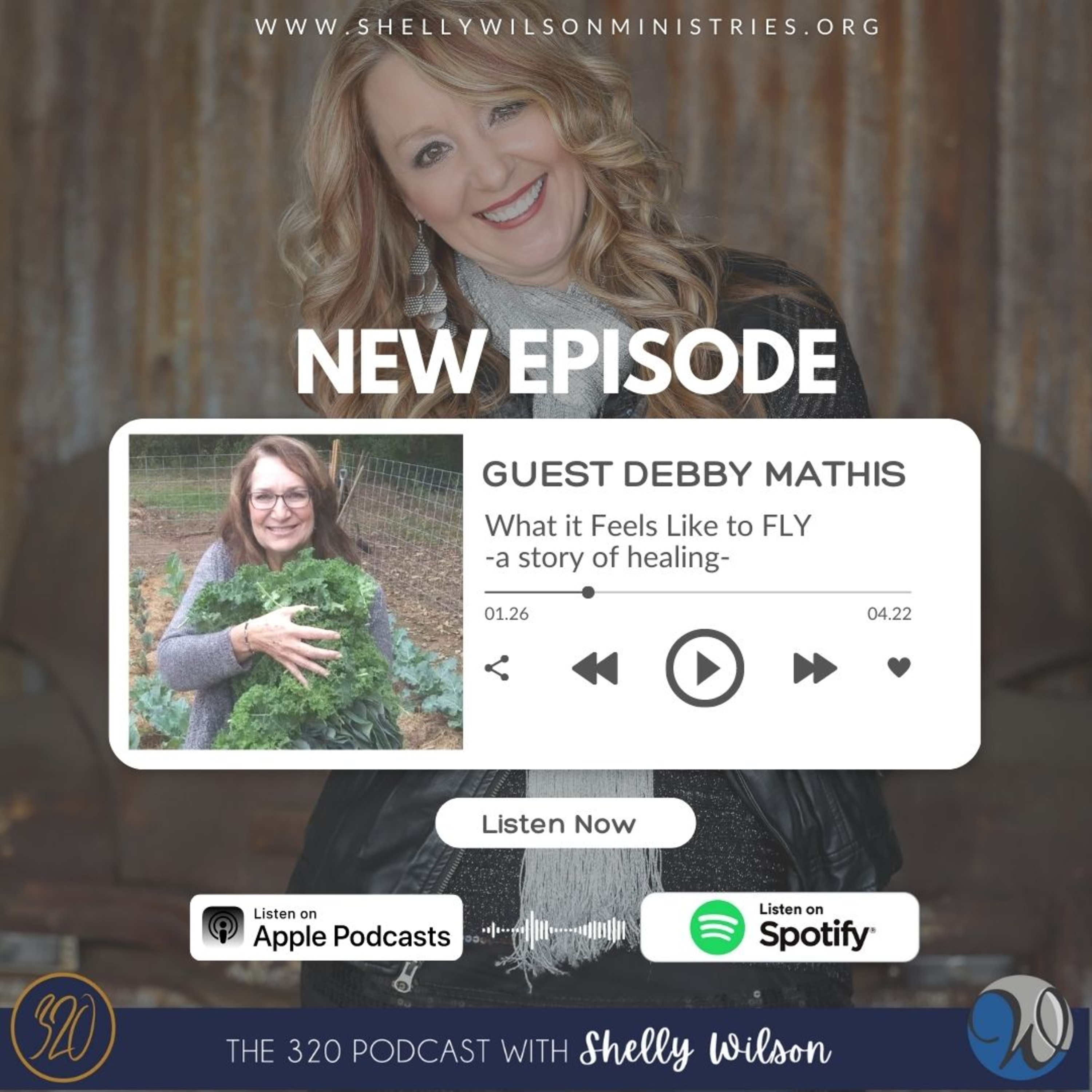 What it Feels Like to Fly with Debby Mathis (a story of healing) episode artwork