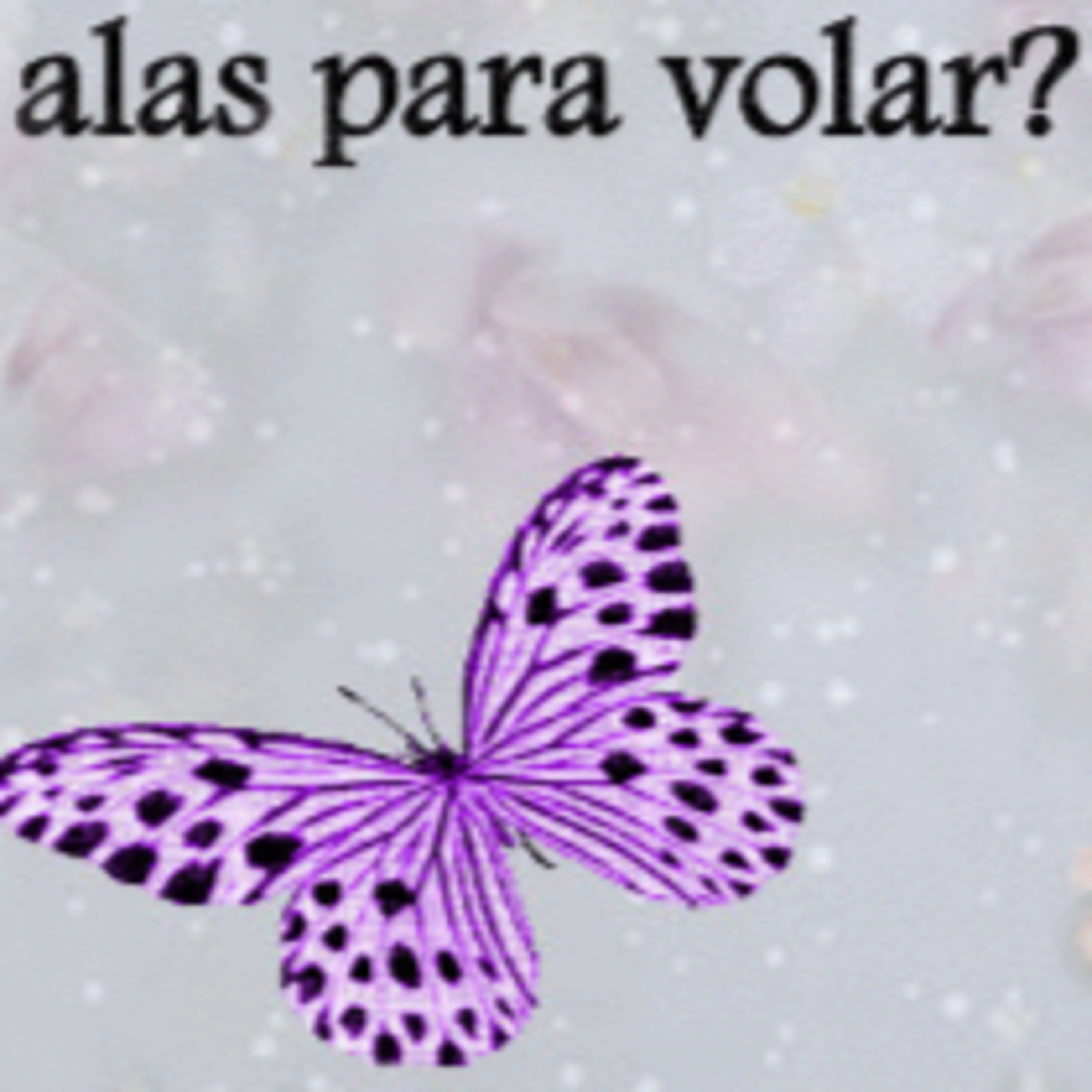 Portada de Historias de Gala