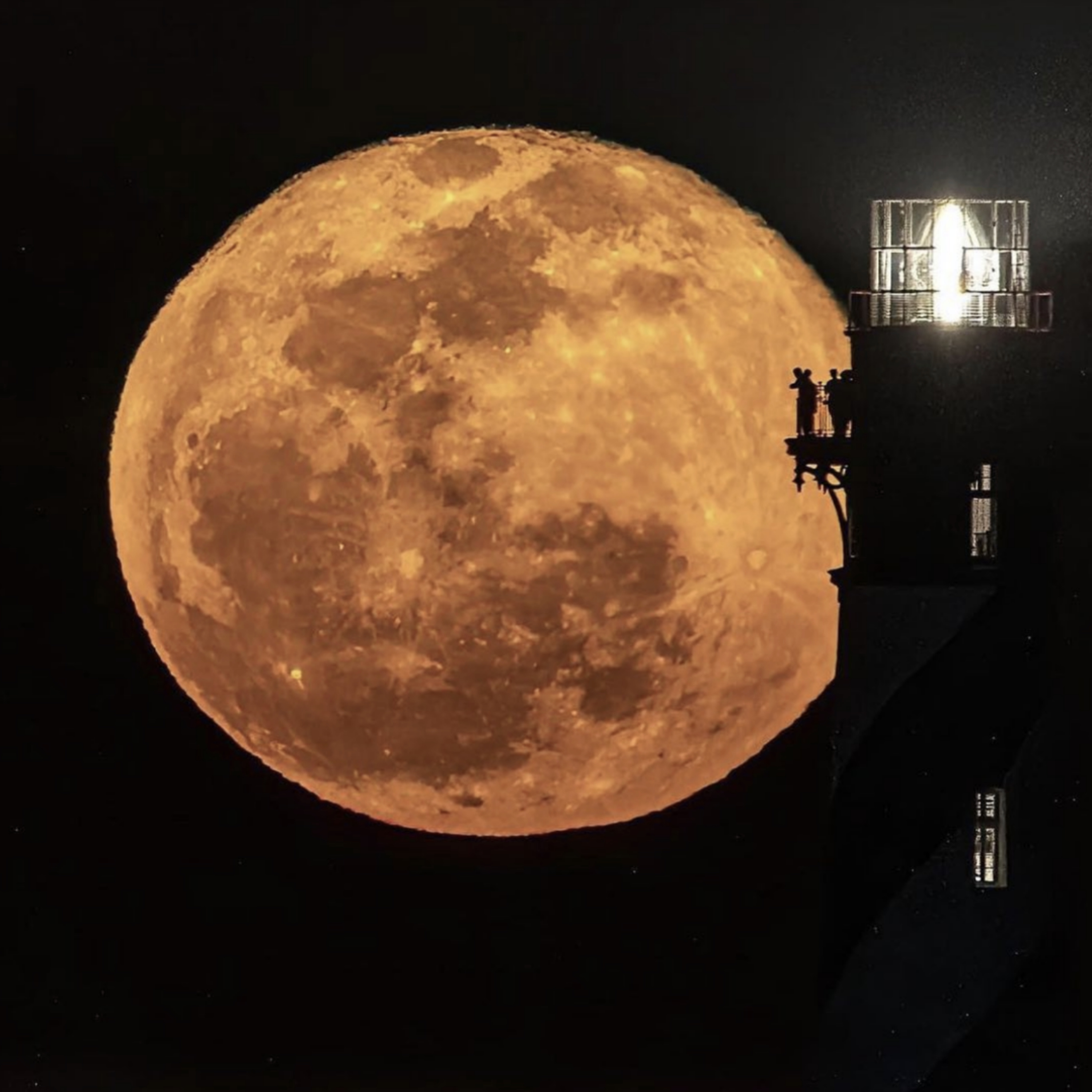 The Strange Woods Podcast